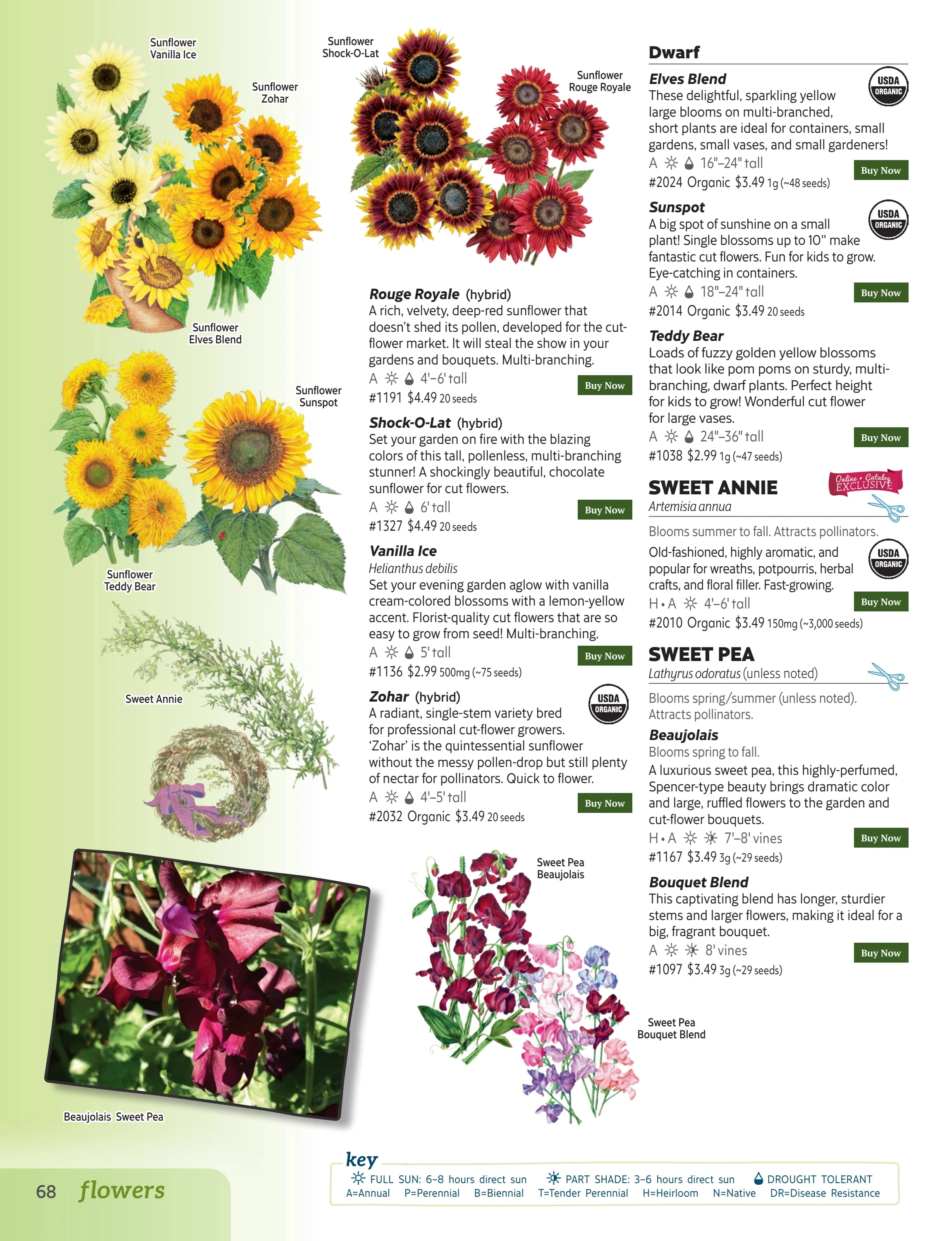 Botanical Interests flyer page 68