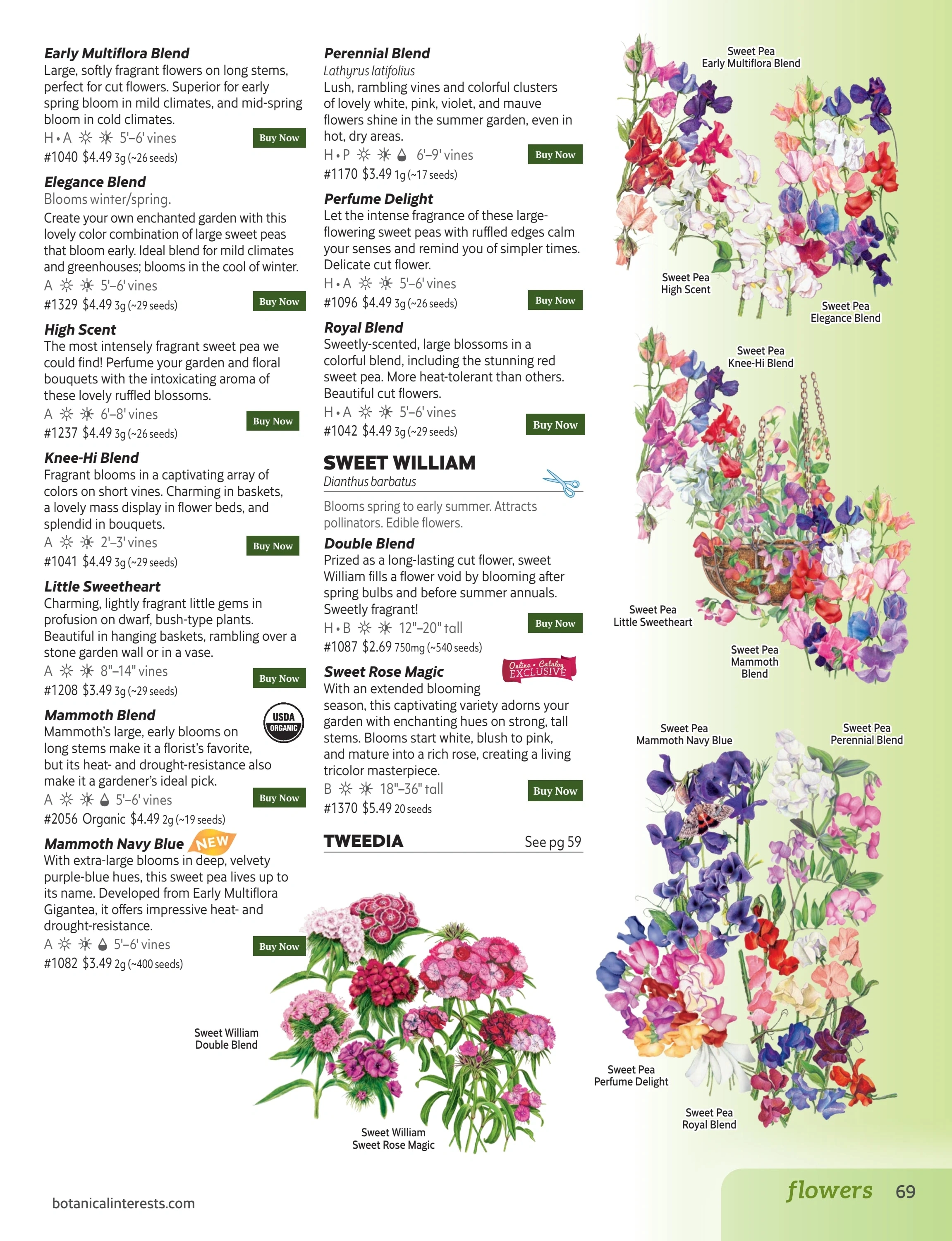 Botanical Interests flyer page 69