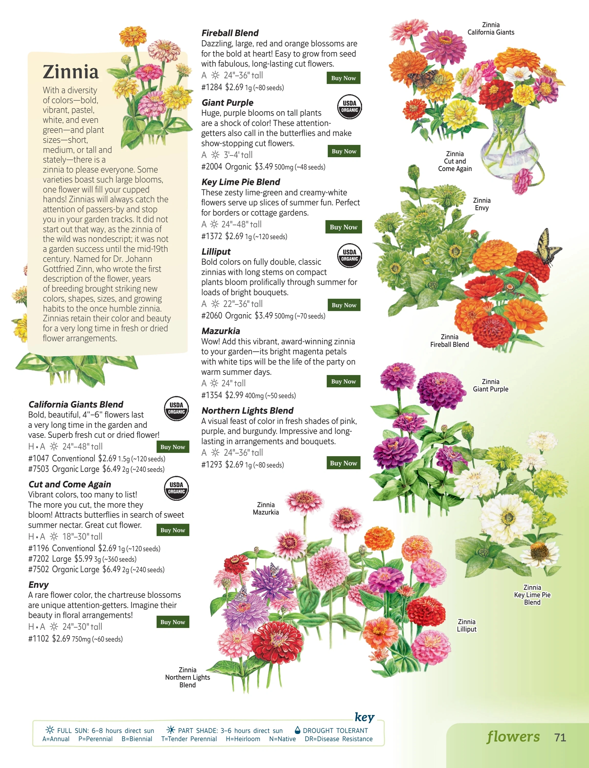 Botanical Interests flyer page 71