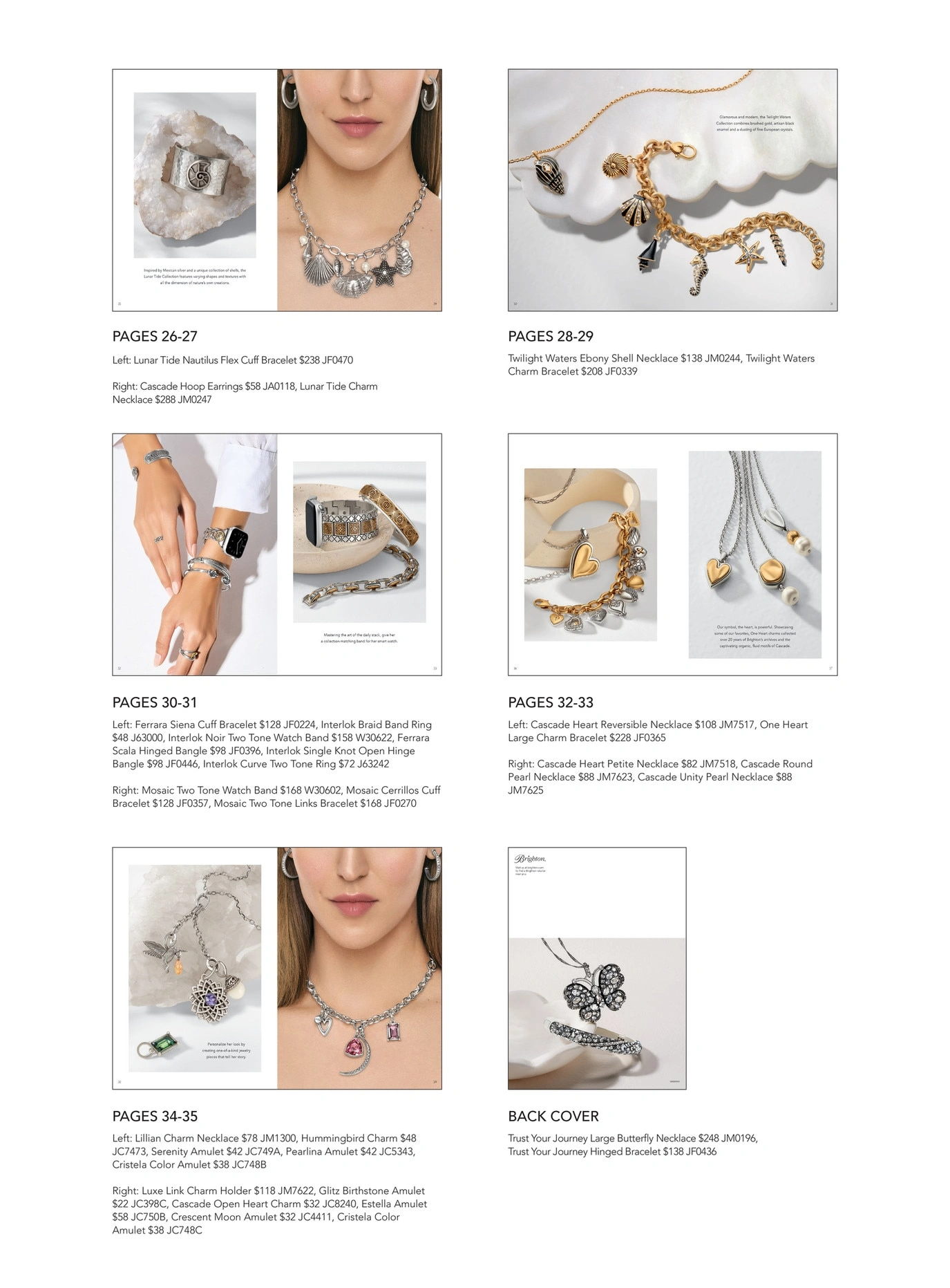 Brighton flyer page 38