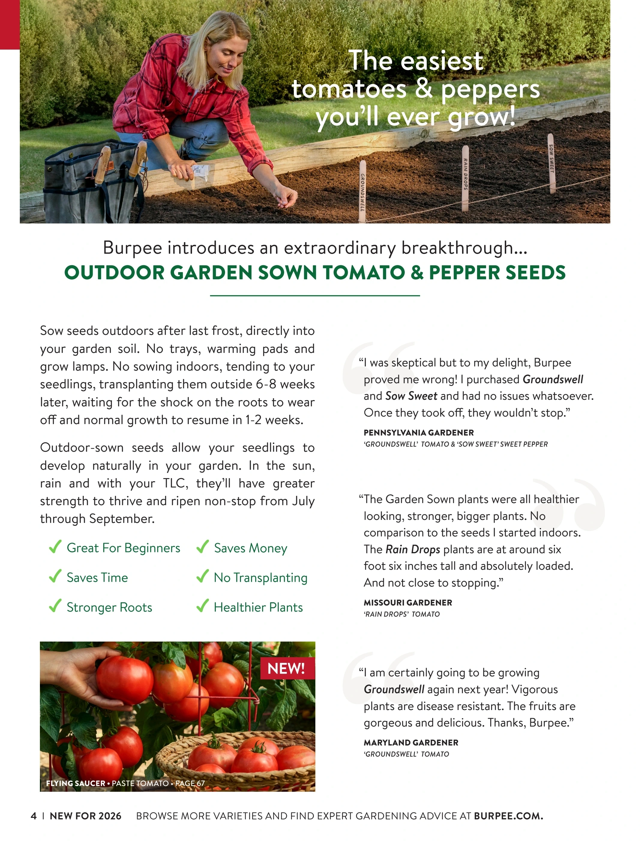Burpee flyer page 4