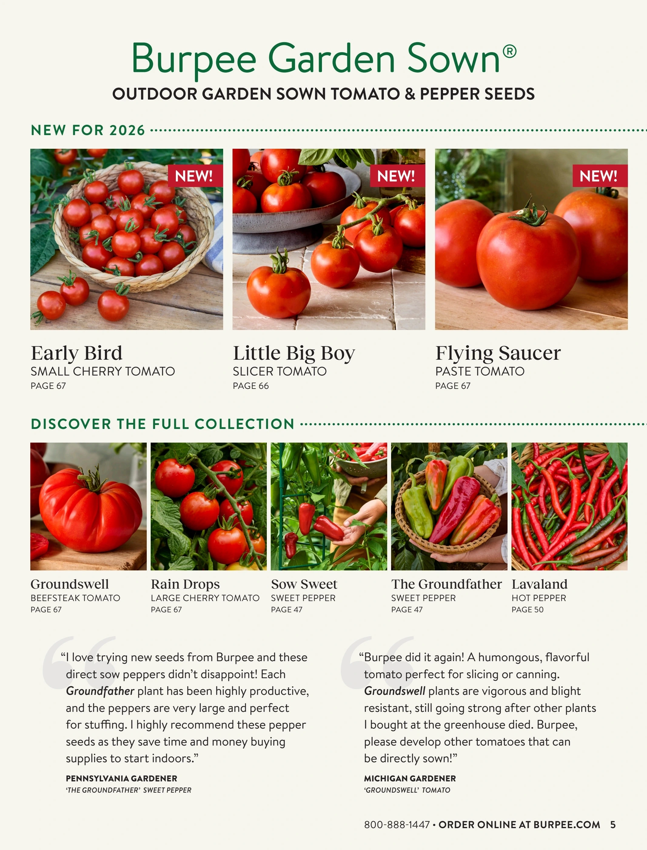 Burpee flyer page 5