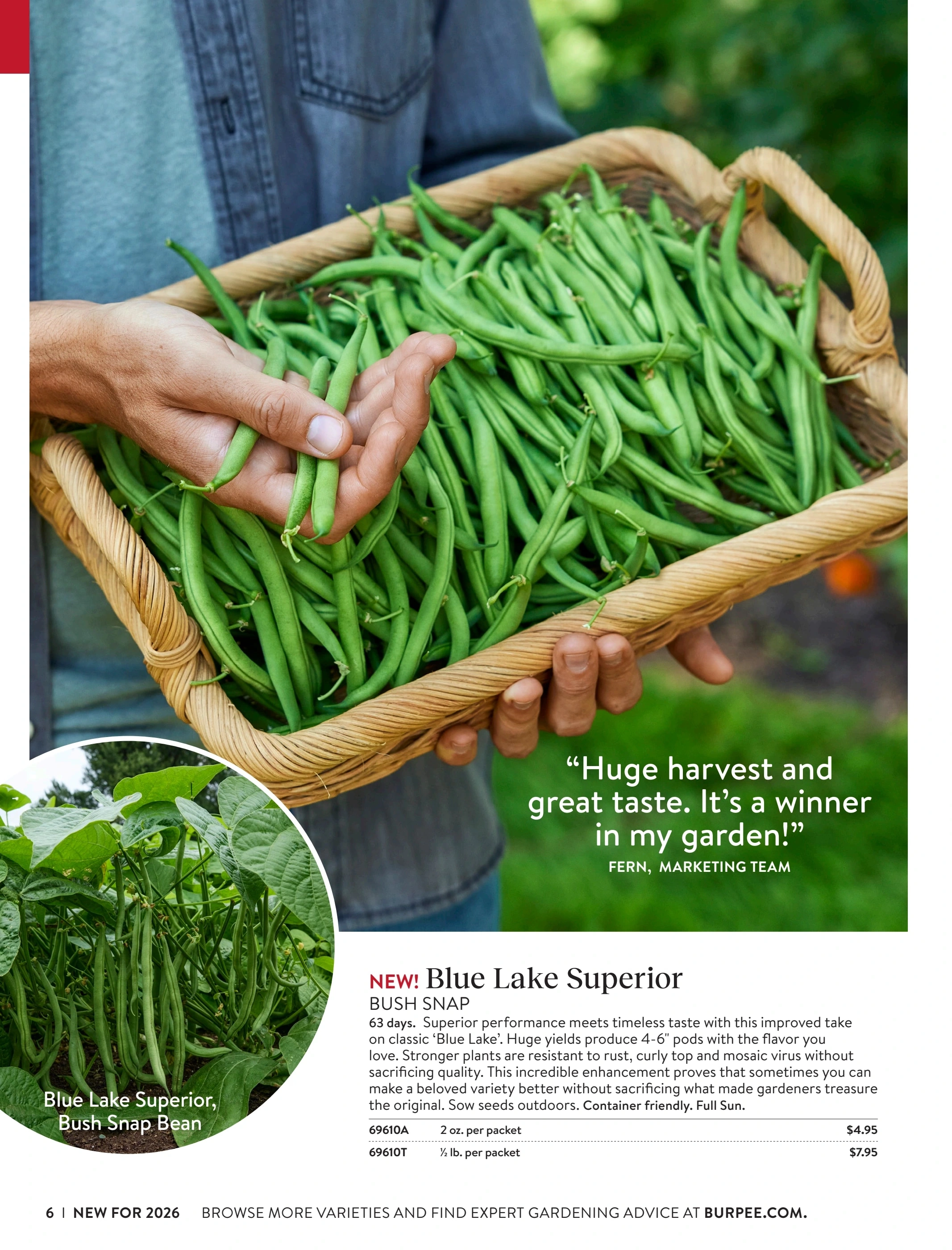 Burpee flyer page 6