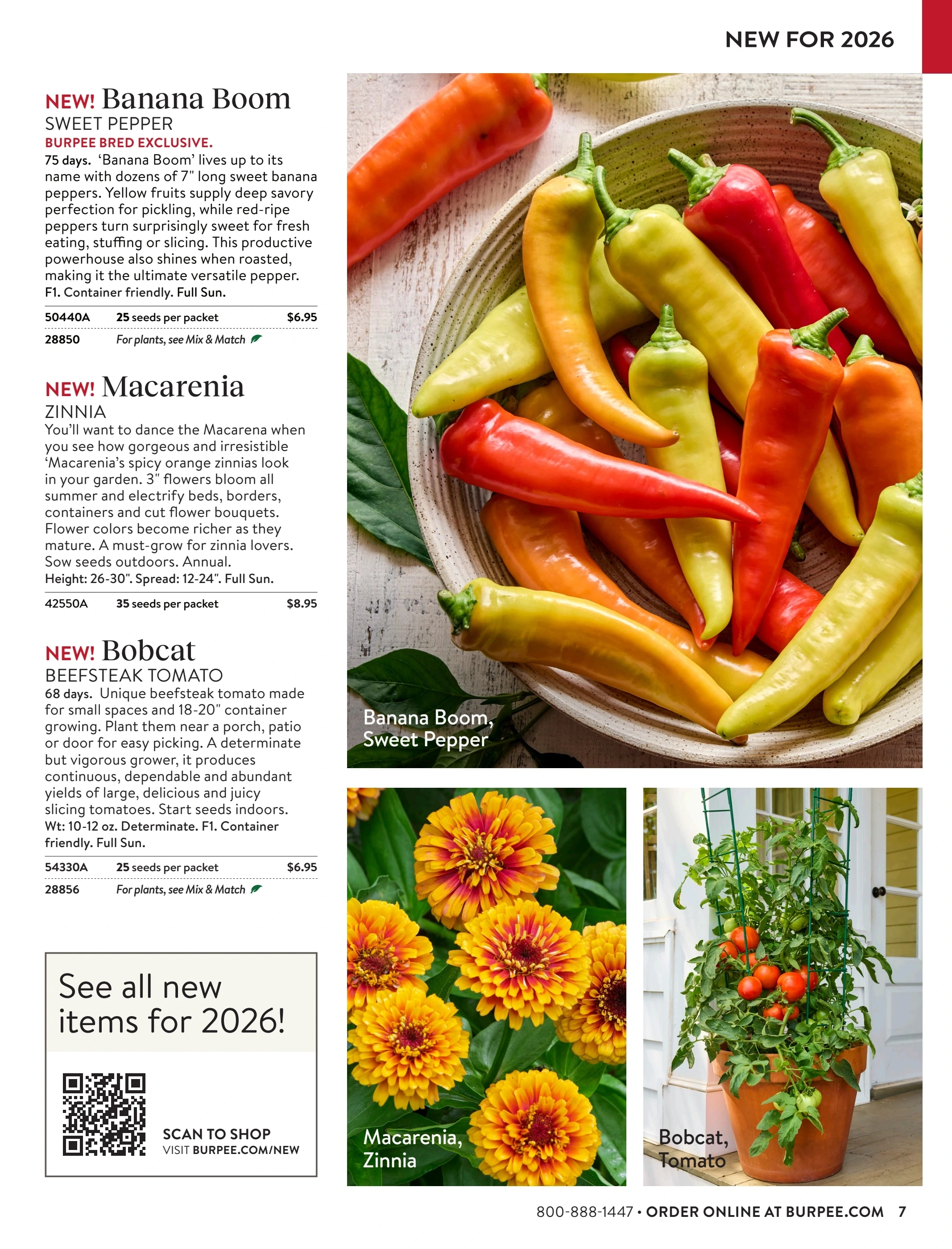 Burpee flyer page 7