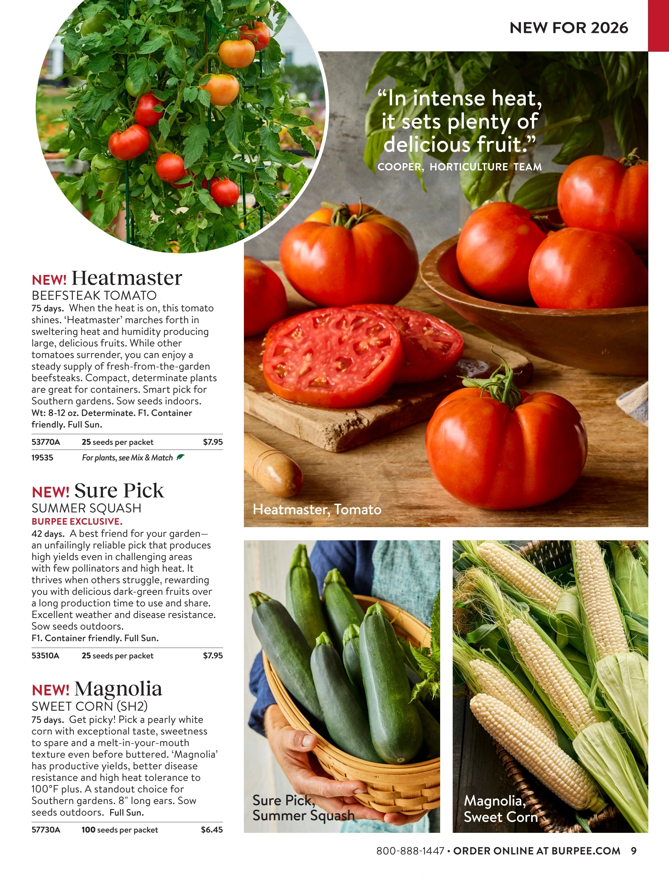 Burpee flyer page 9