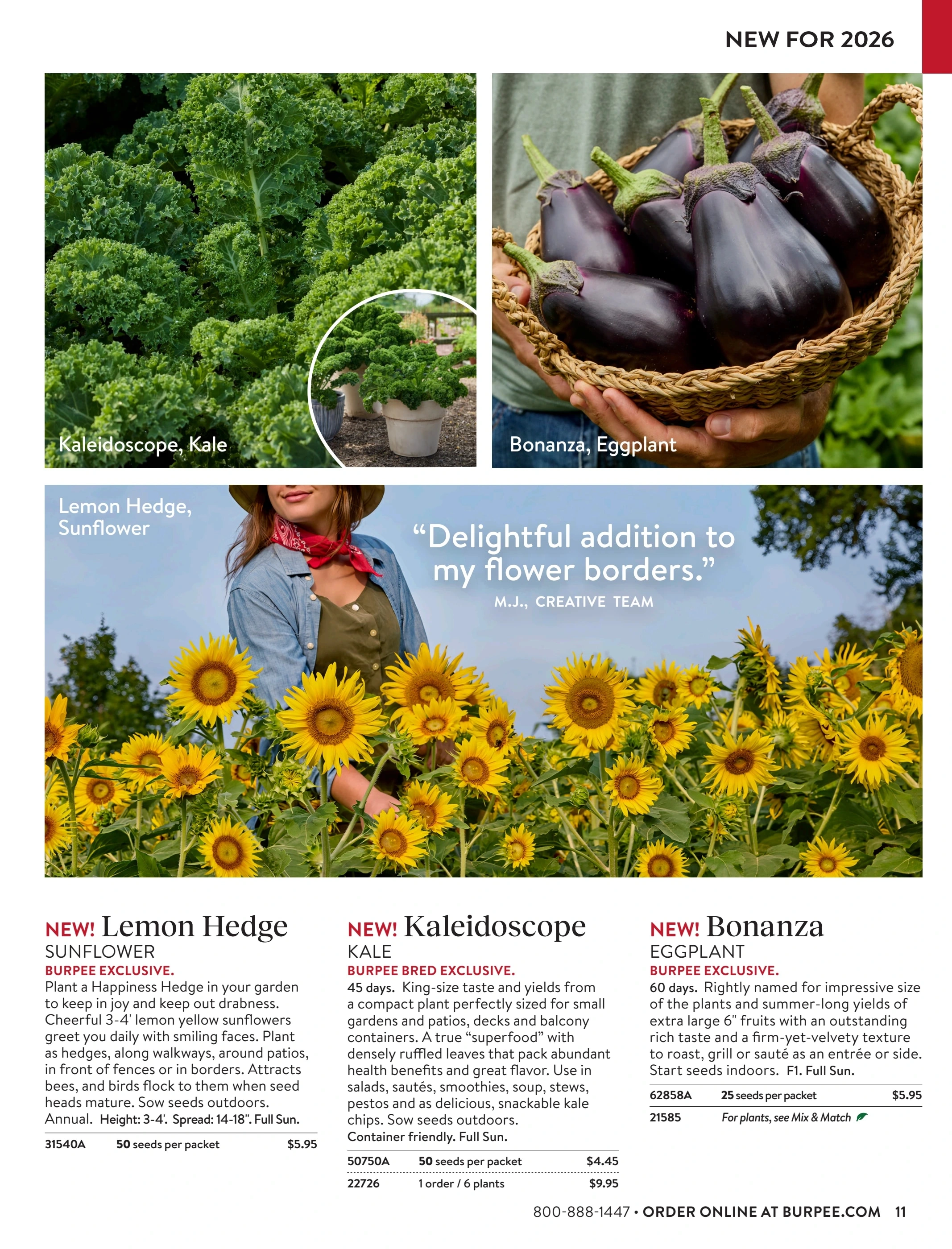 Burpee flyer page 11