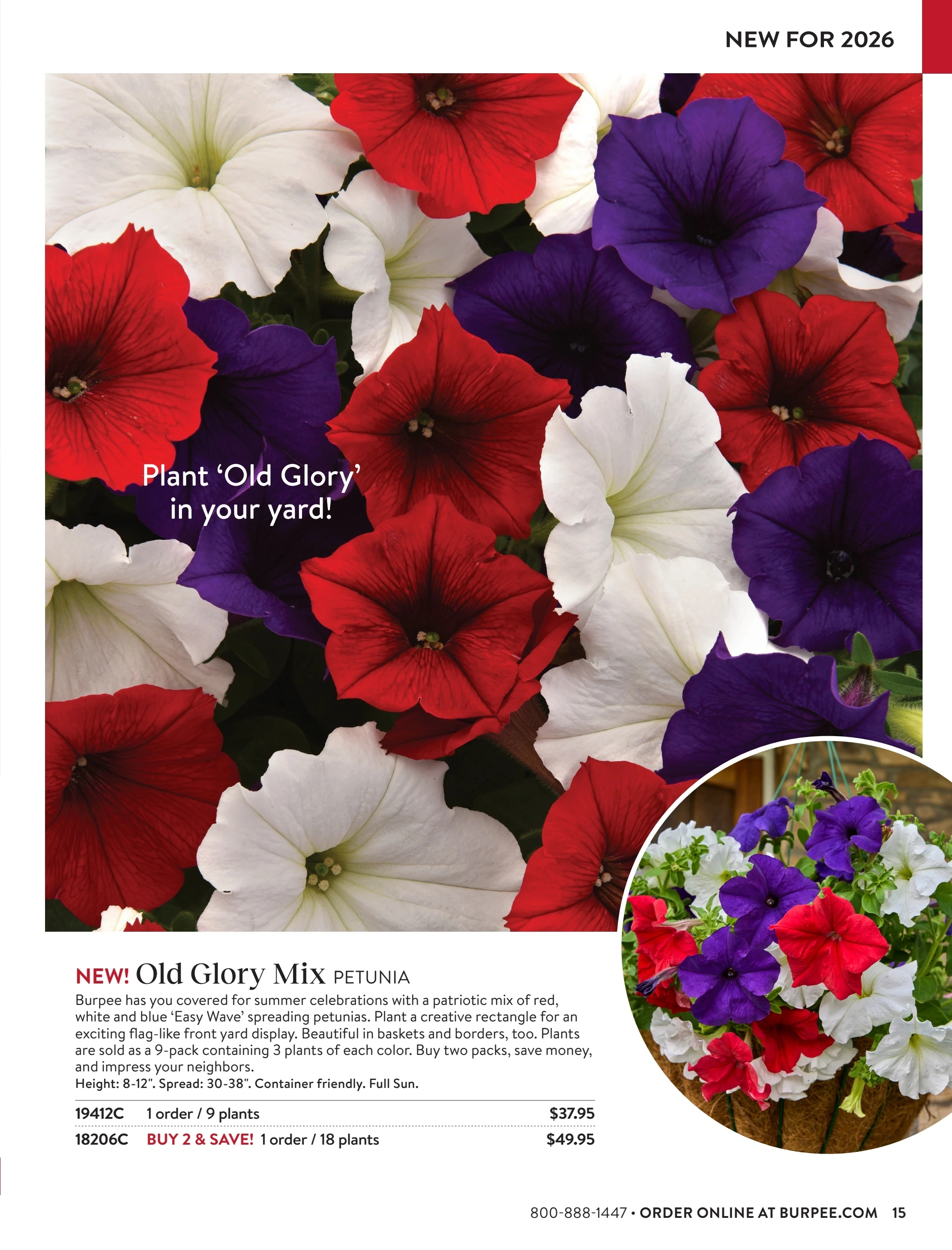 Burpee flyer page 15