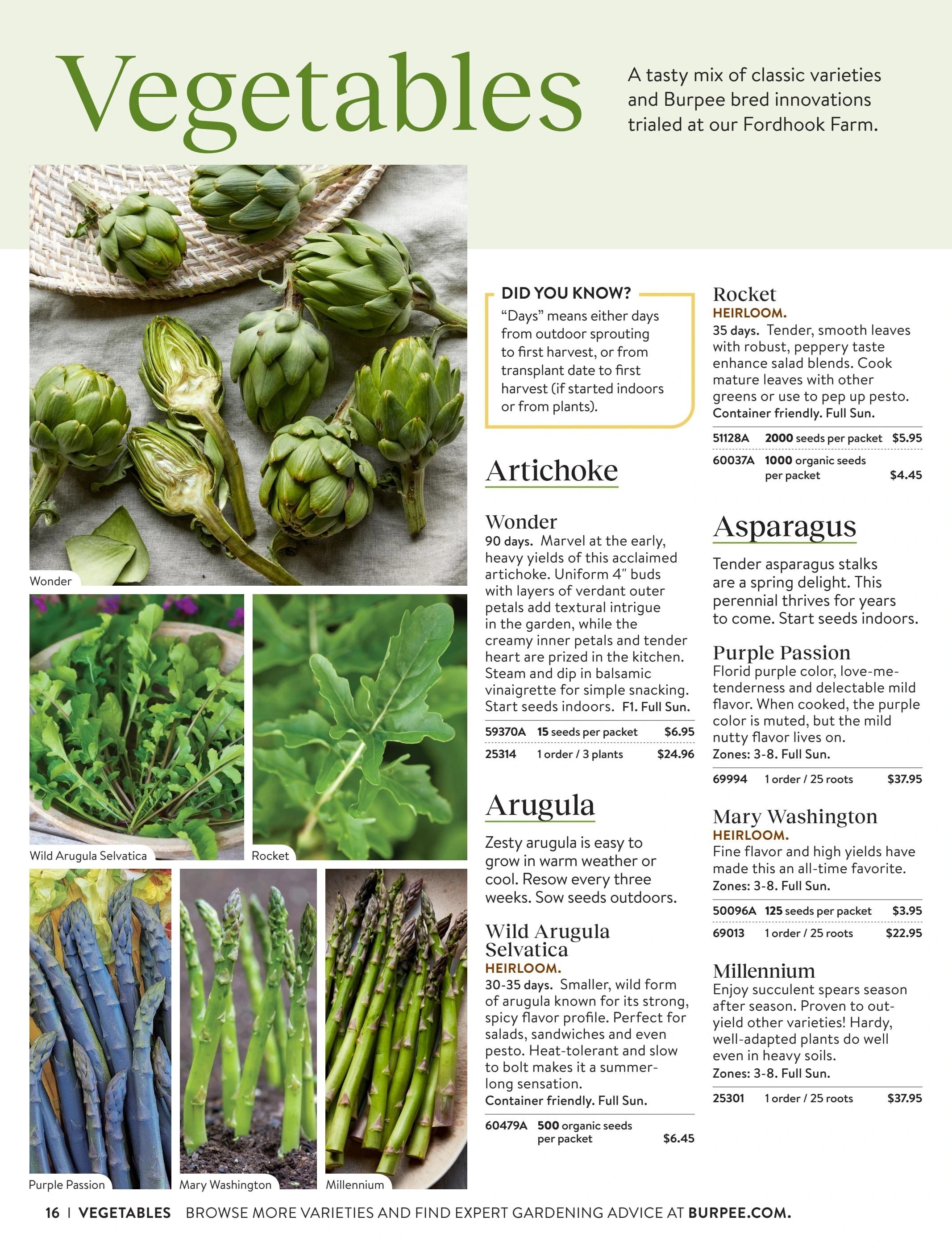 Burpee flyer page 16