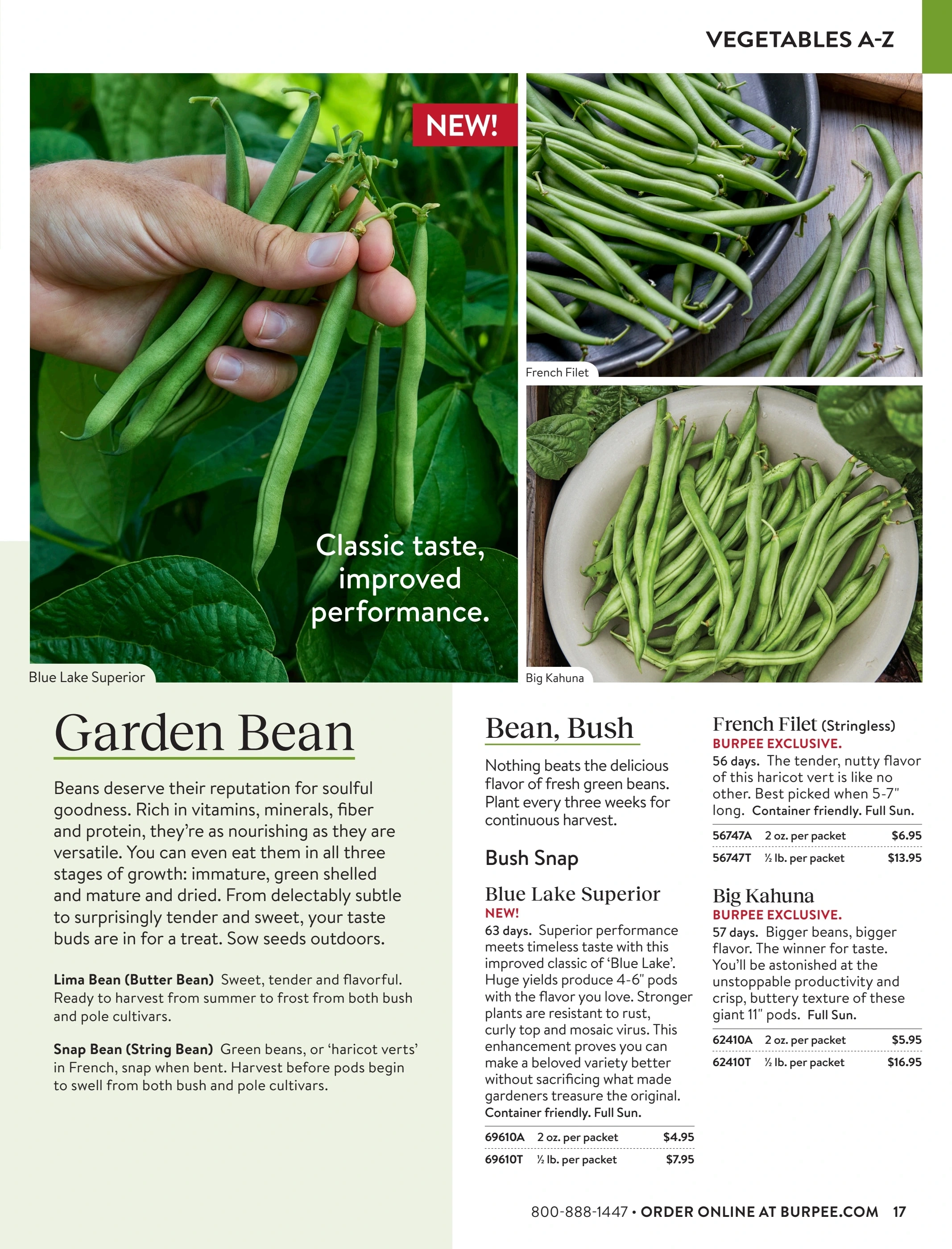 Burpee flyer page 17