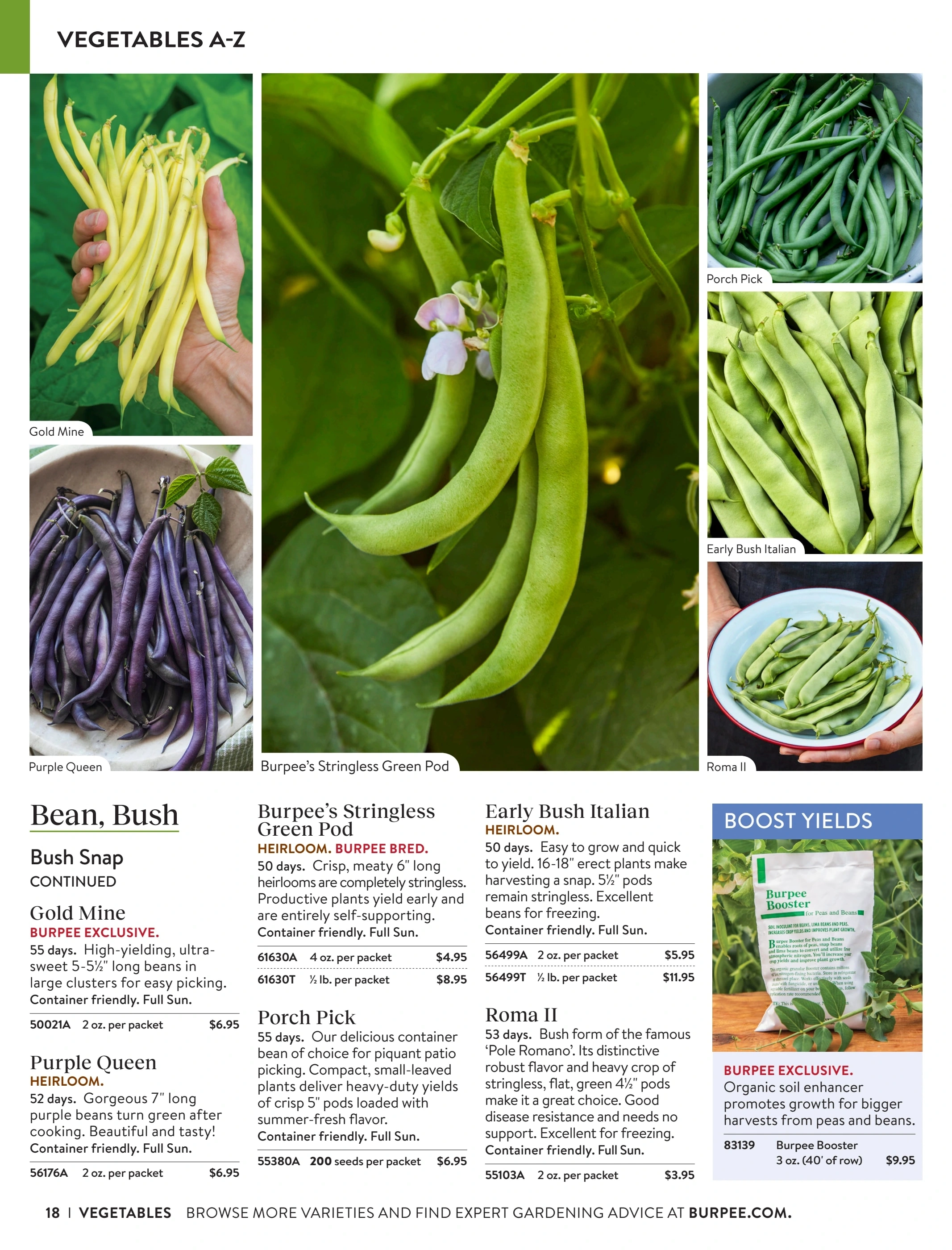 Burpee flyer page 18
