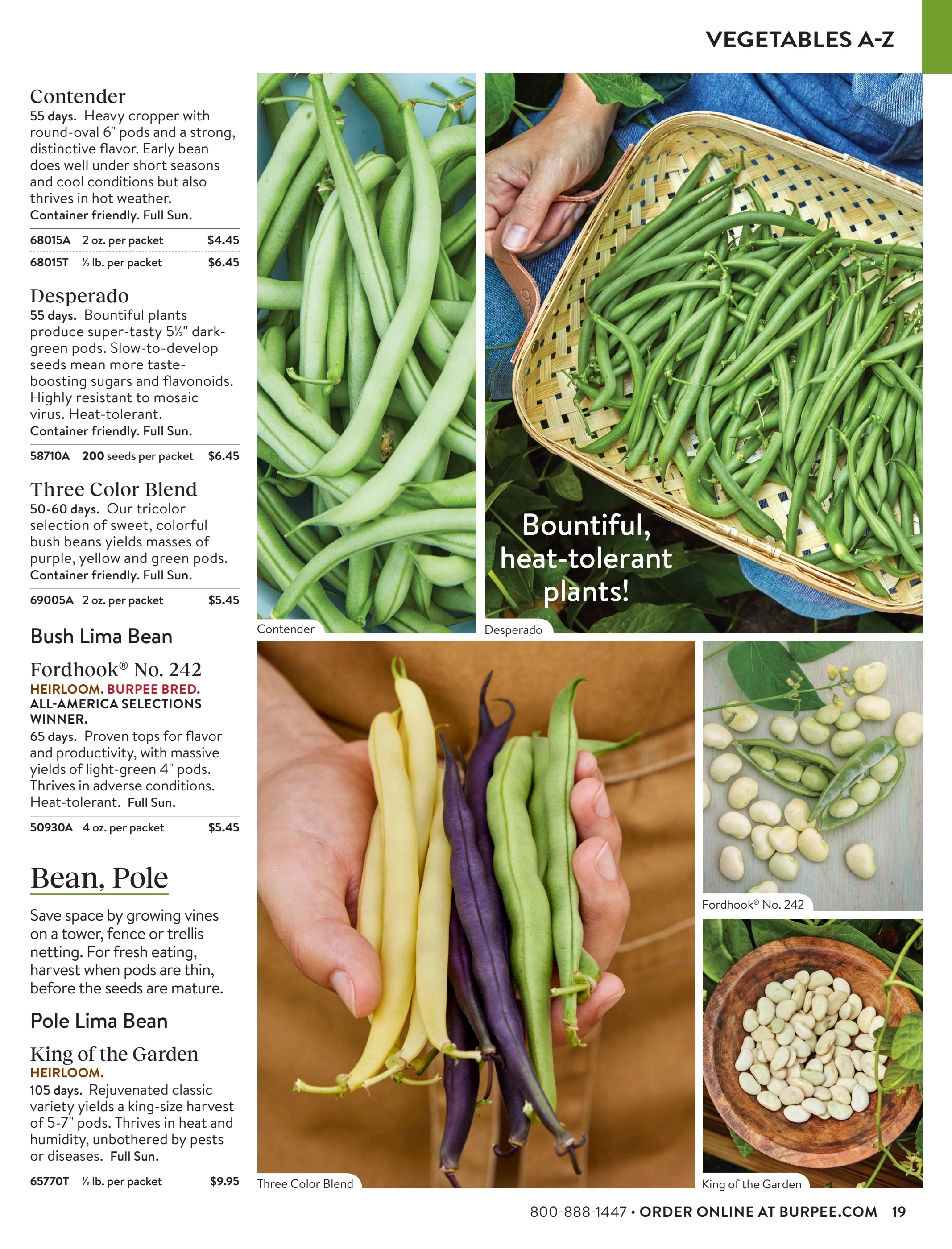 Burpee flyer page 19