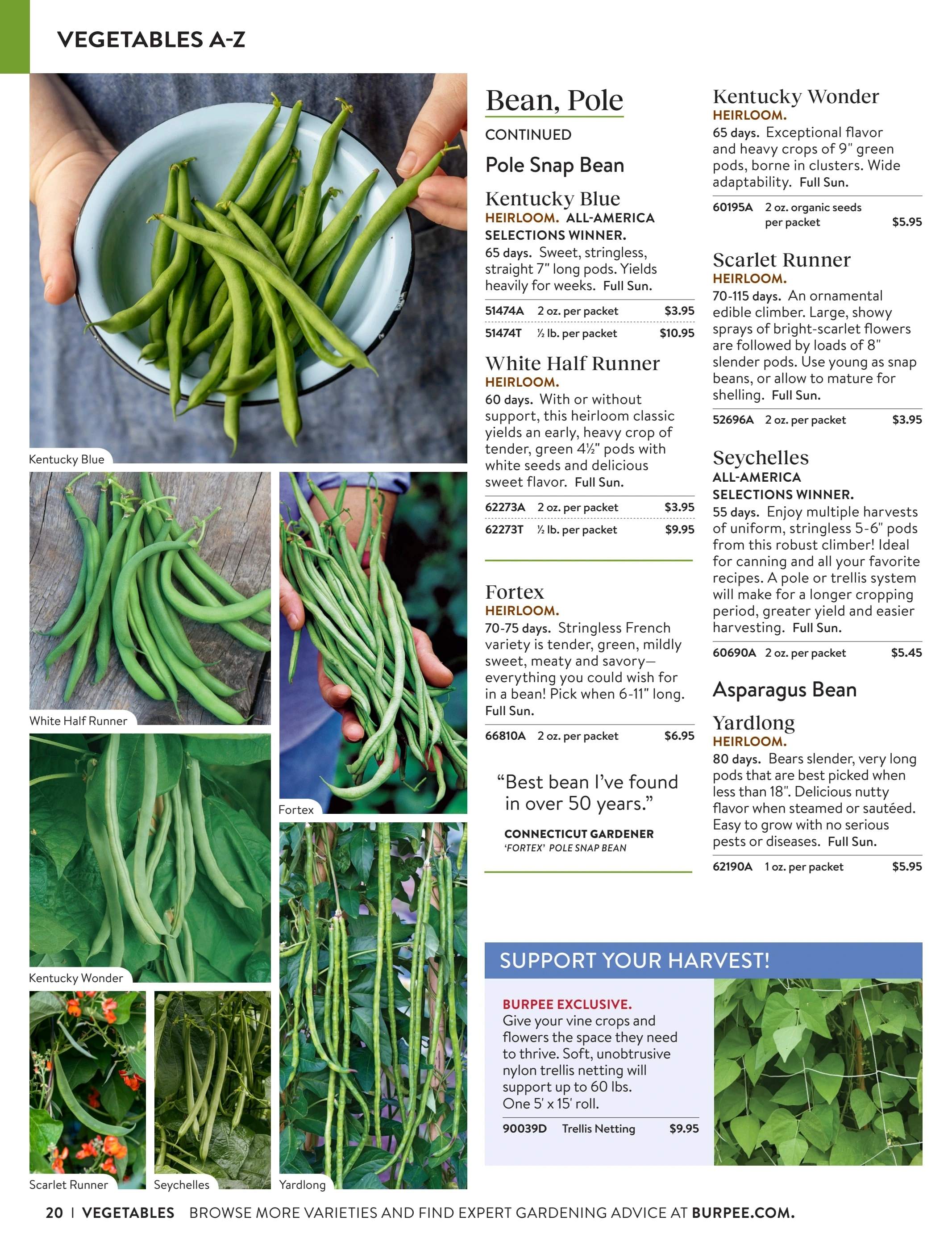 Burpee flyer page 20