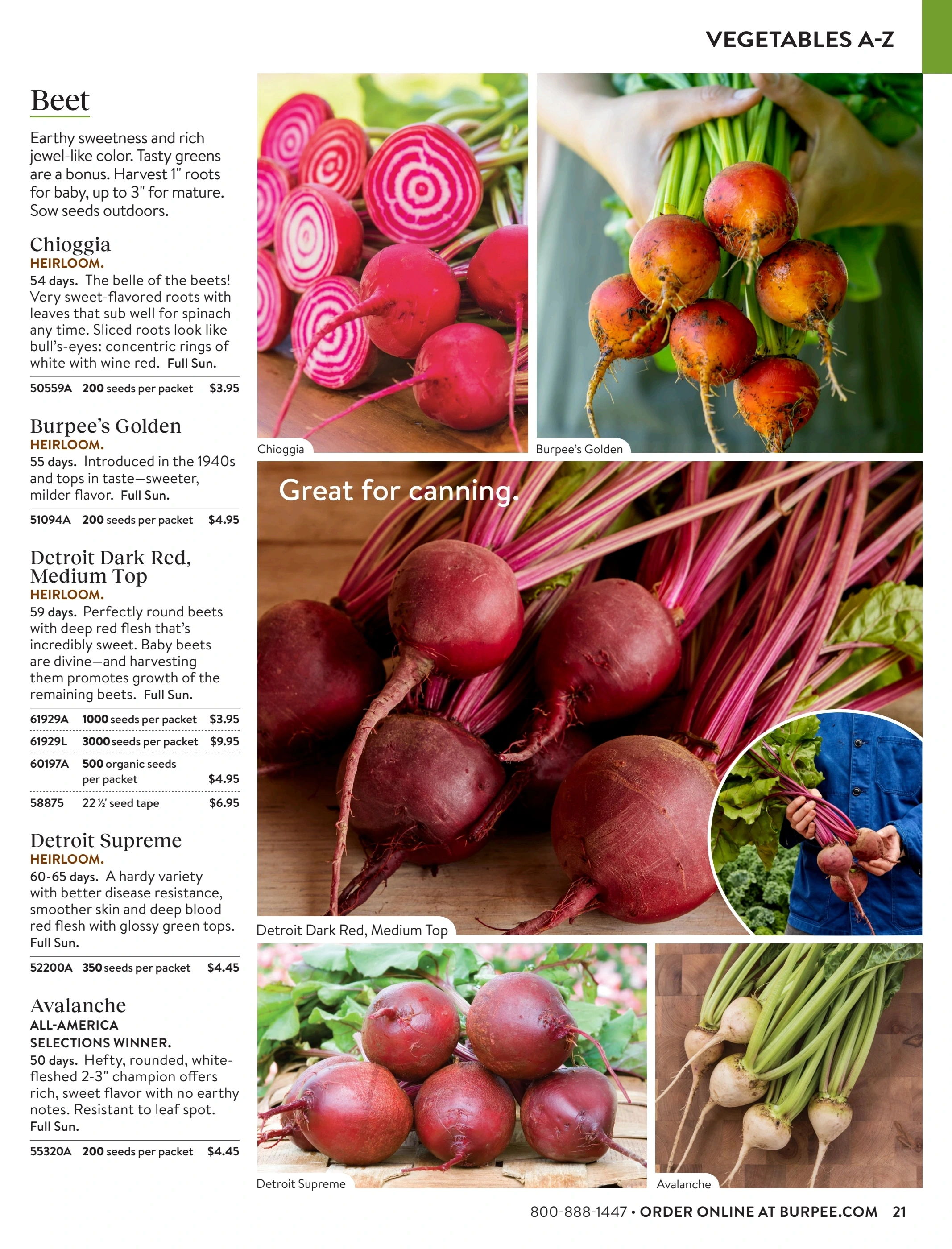 Burpee flyer page 21