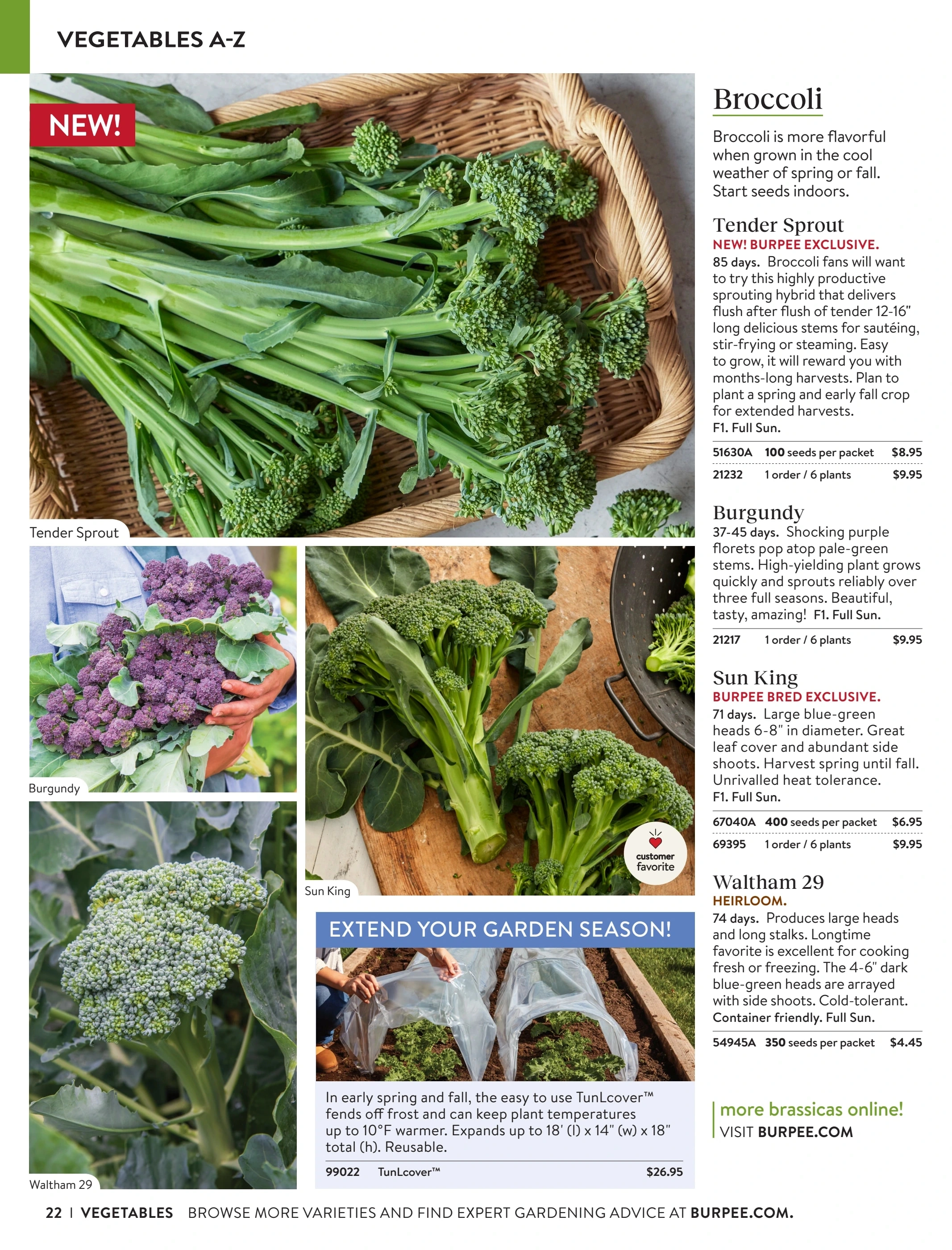 Burpee flyer page 22
