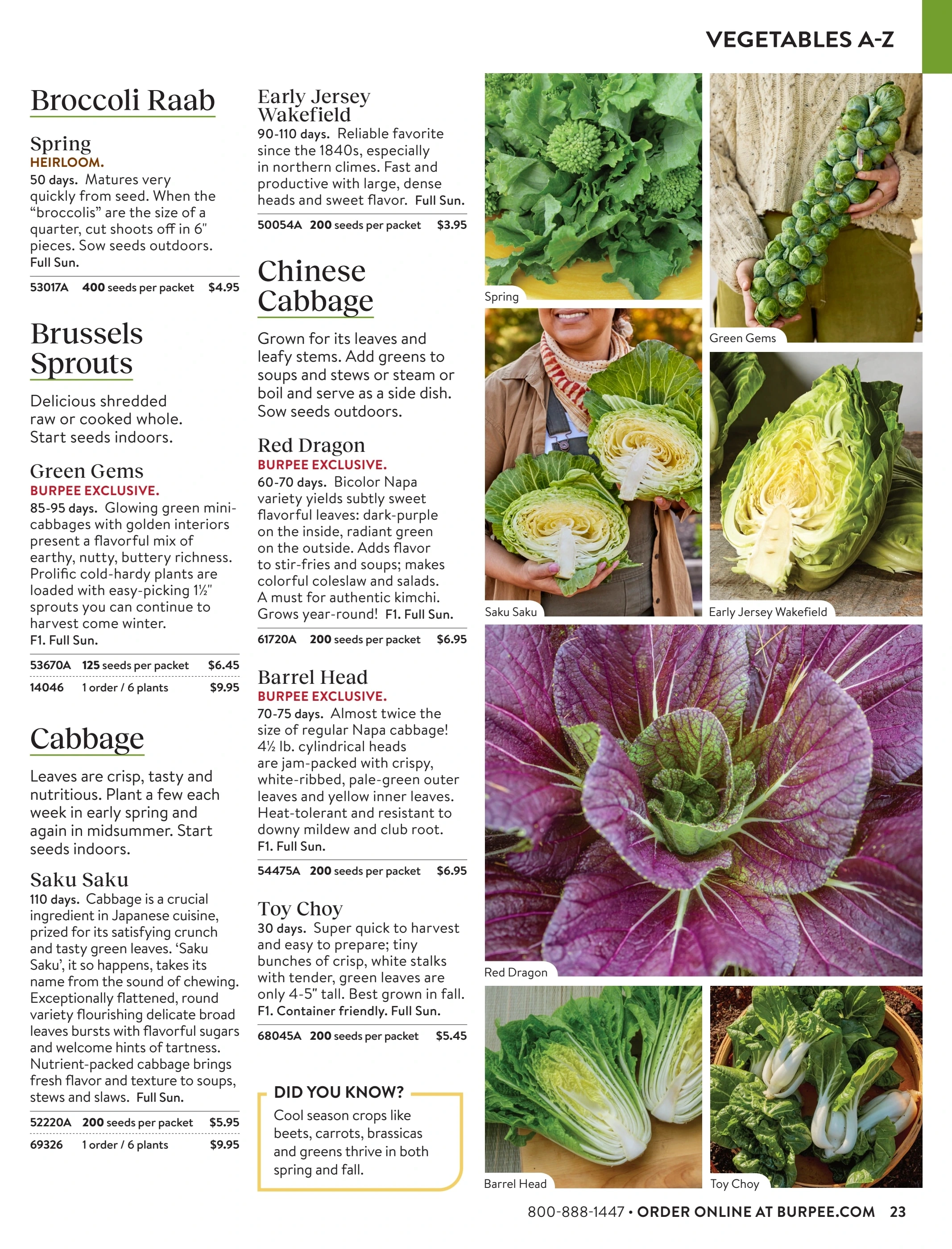 Burpee flyer page 23