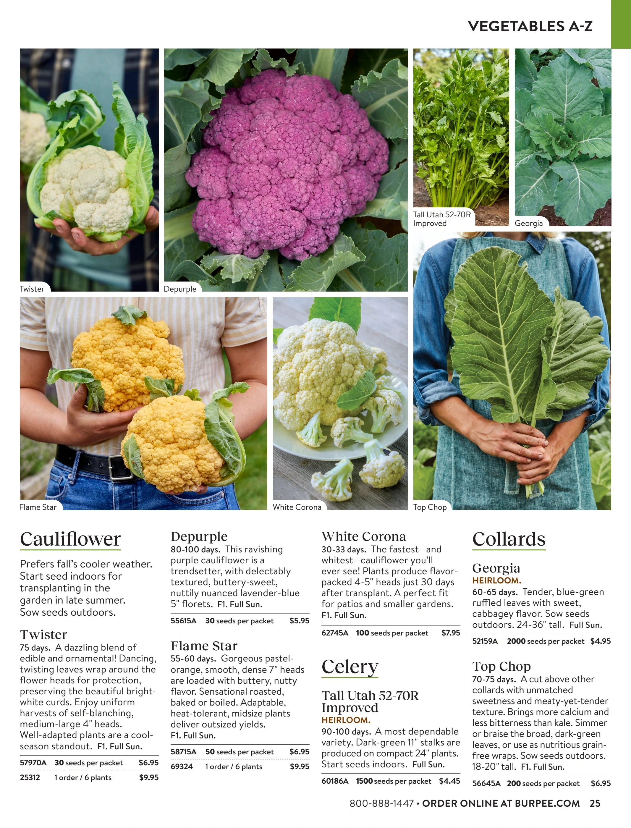 Burpee flyer page 25