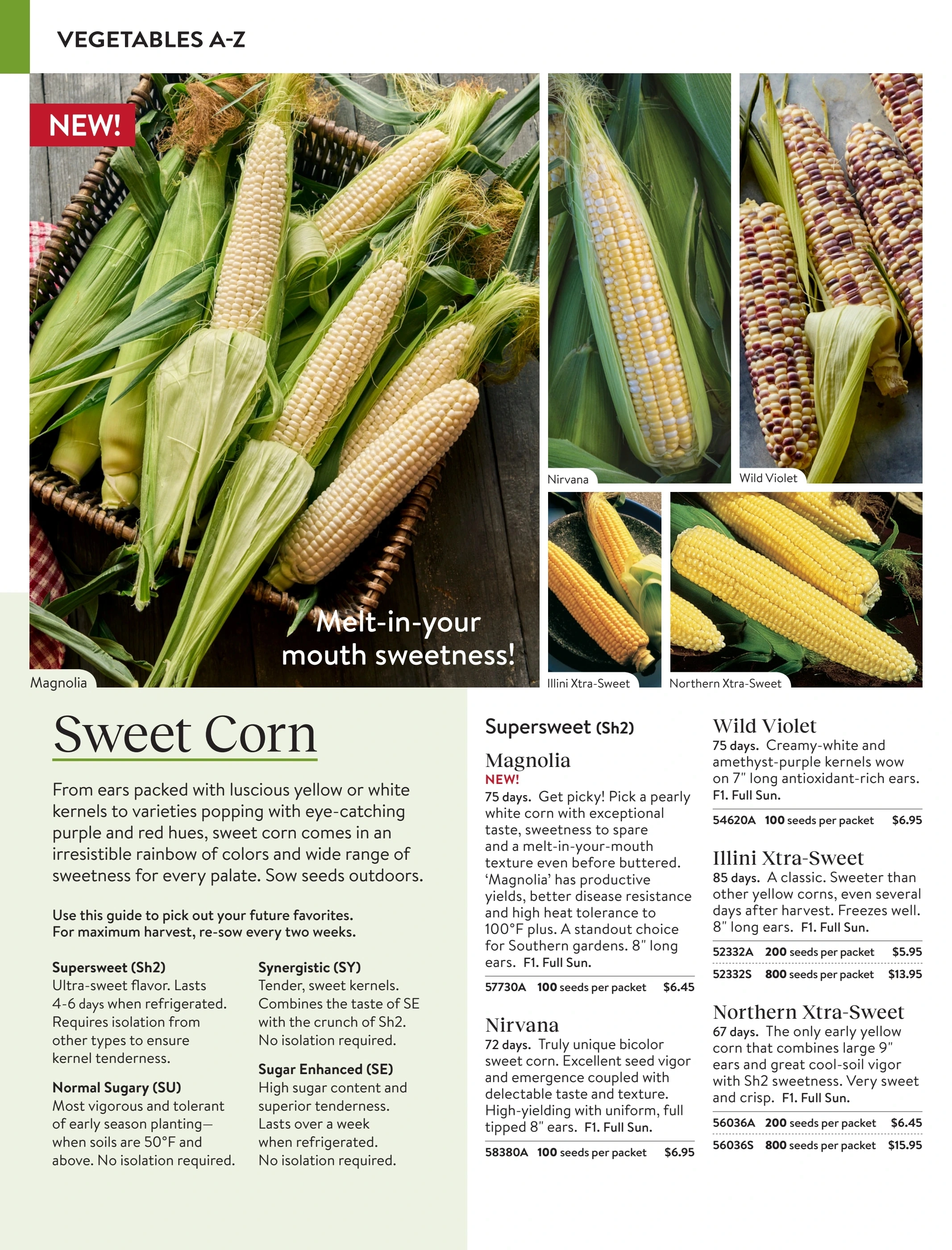 Burpee flyer page 26