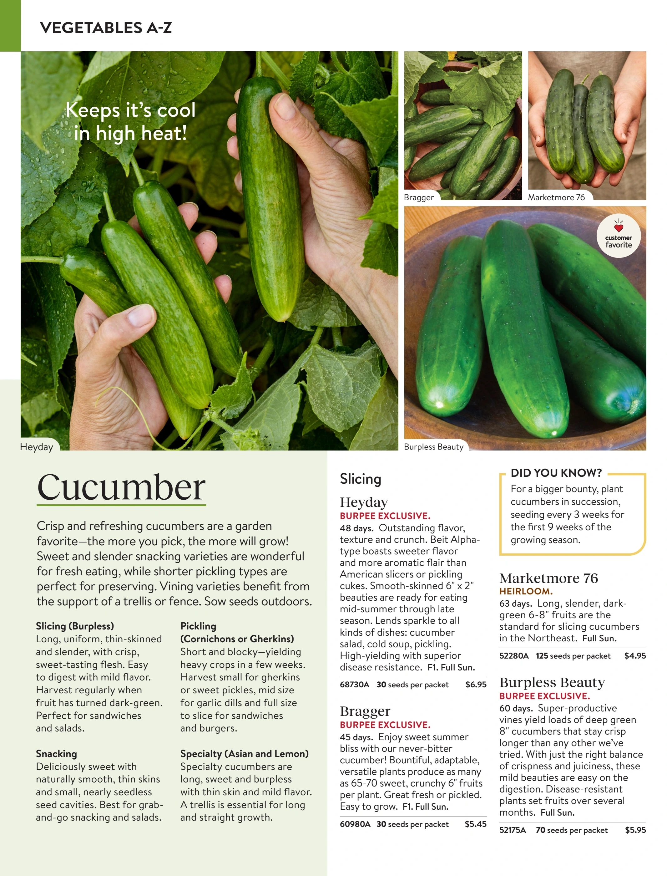 Burpee flyer page 28