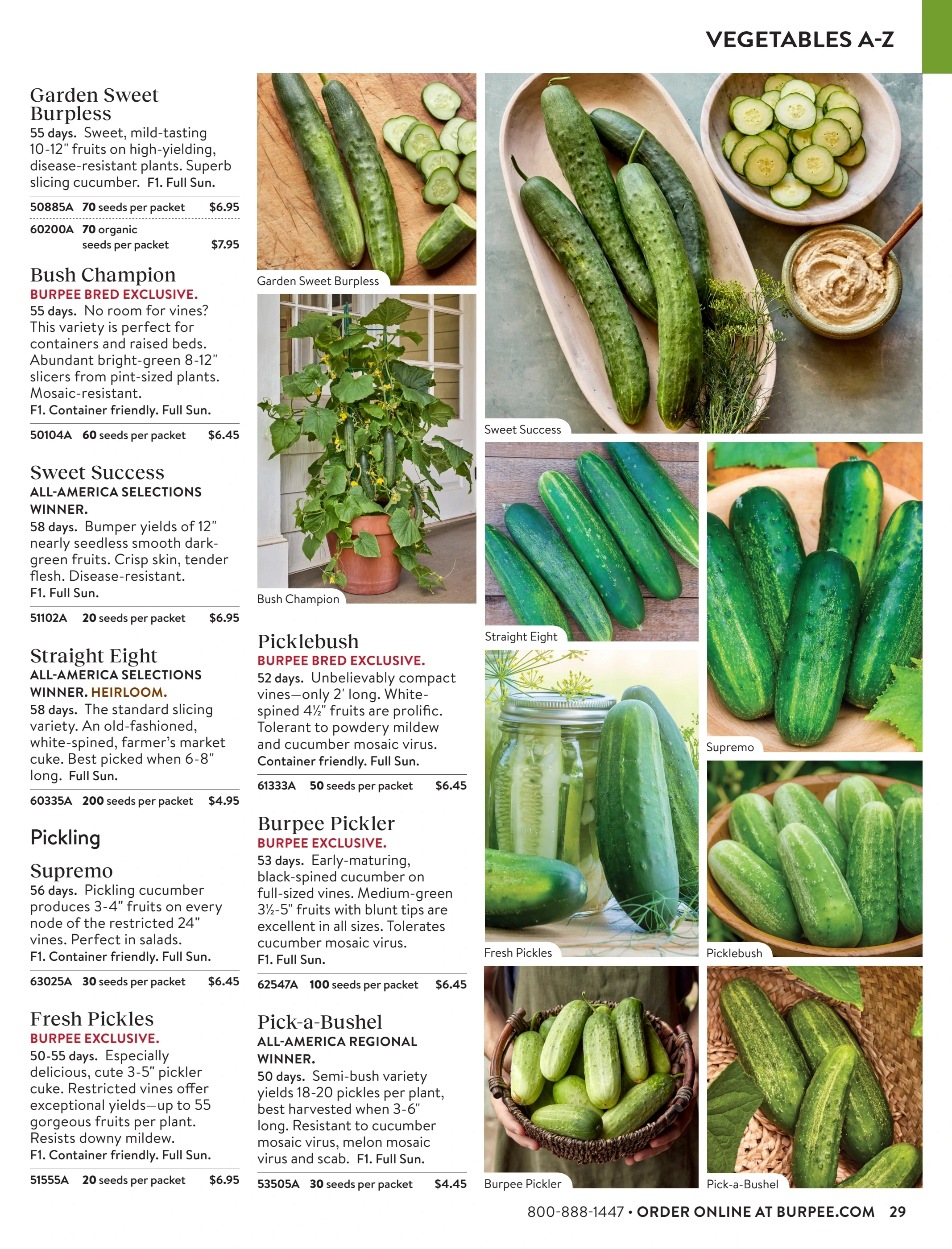 Burpee flyer page 29