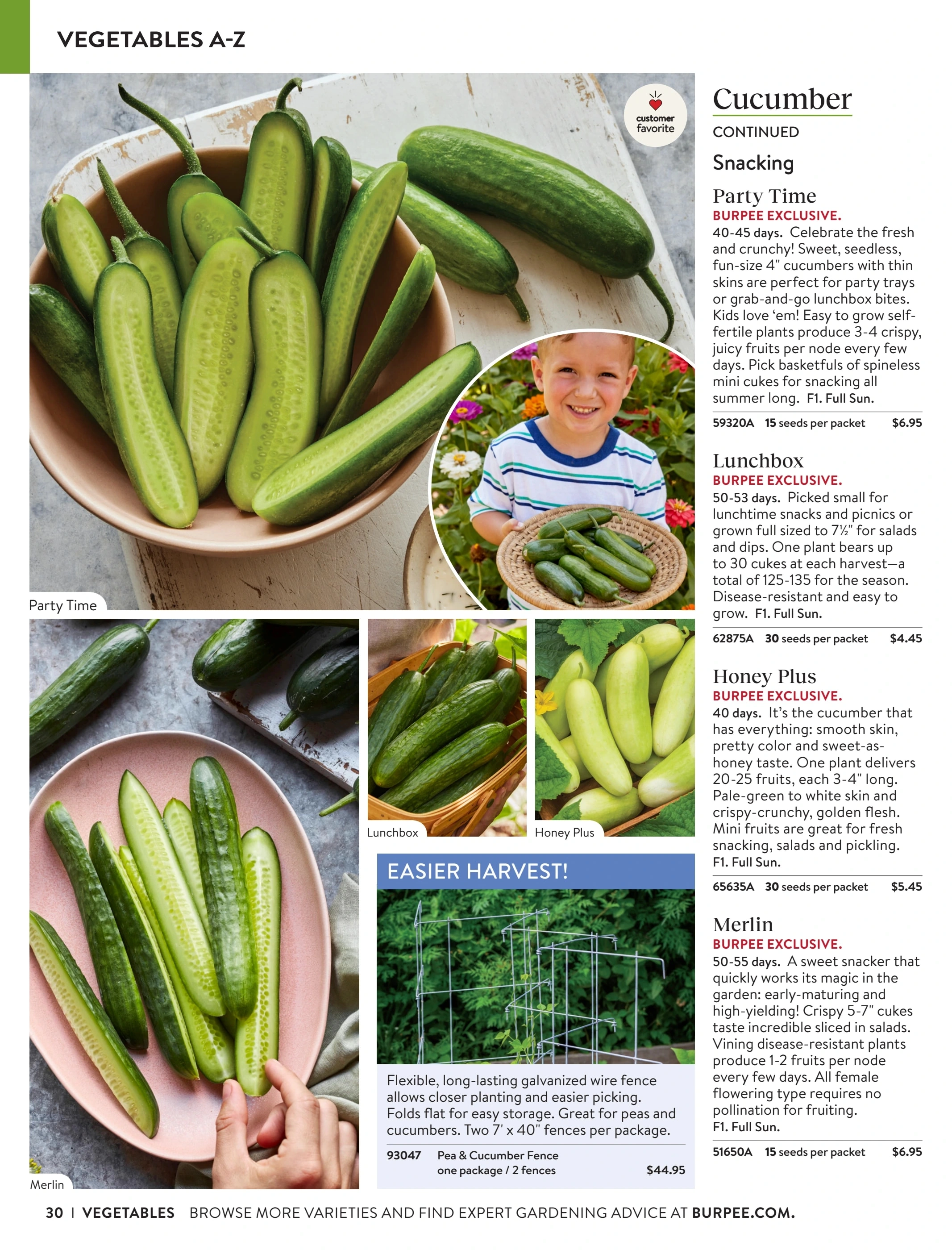 Burpee flyer page 30