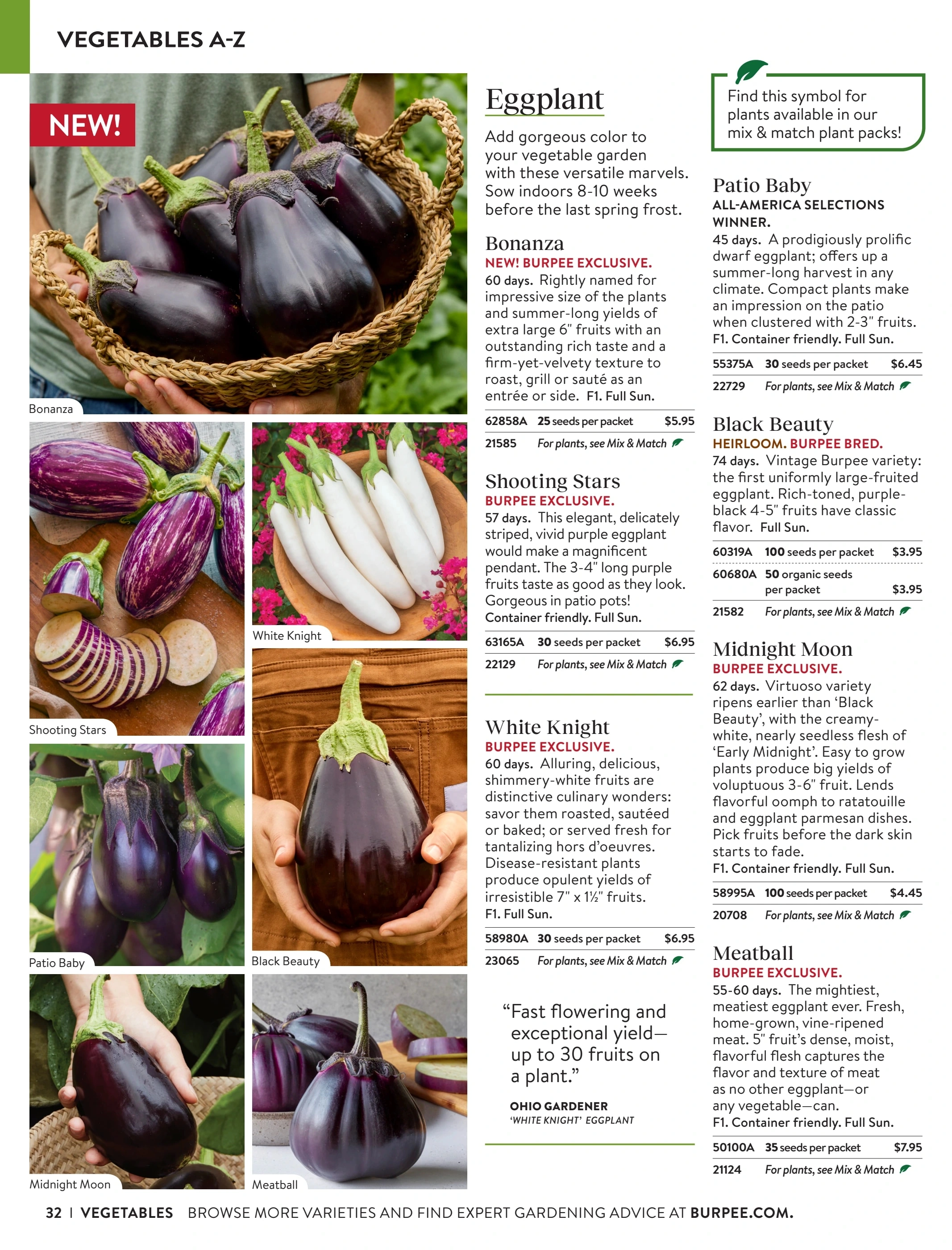 Burpee flyer page 32