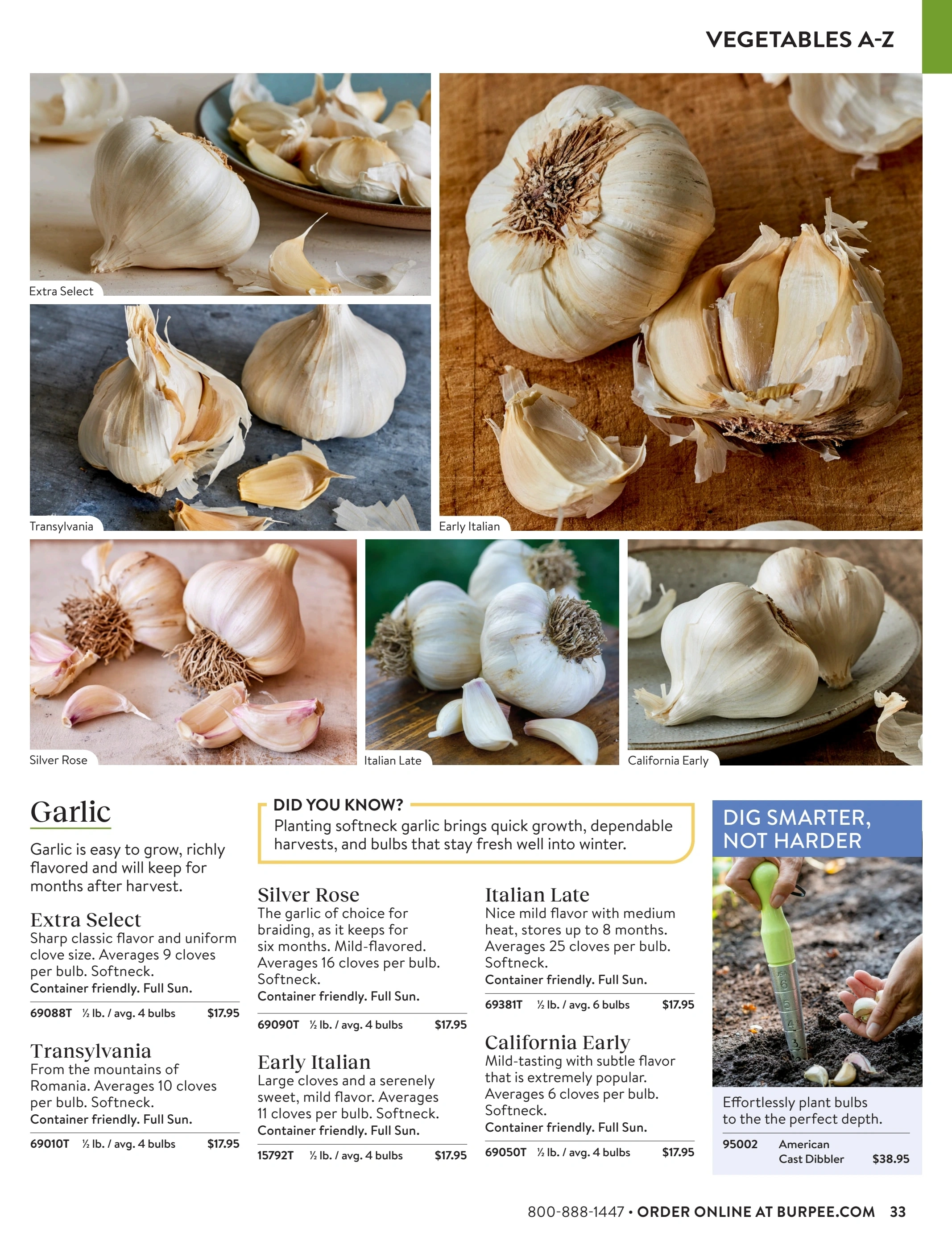 Burpee flyer page 33