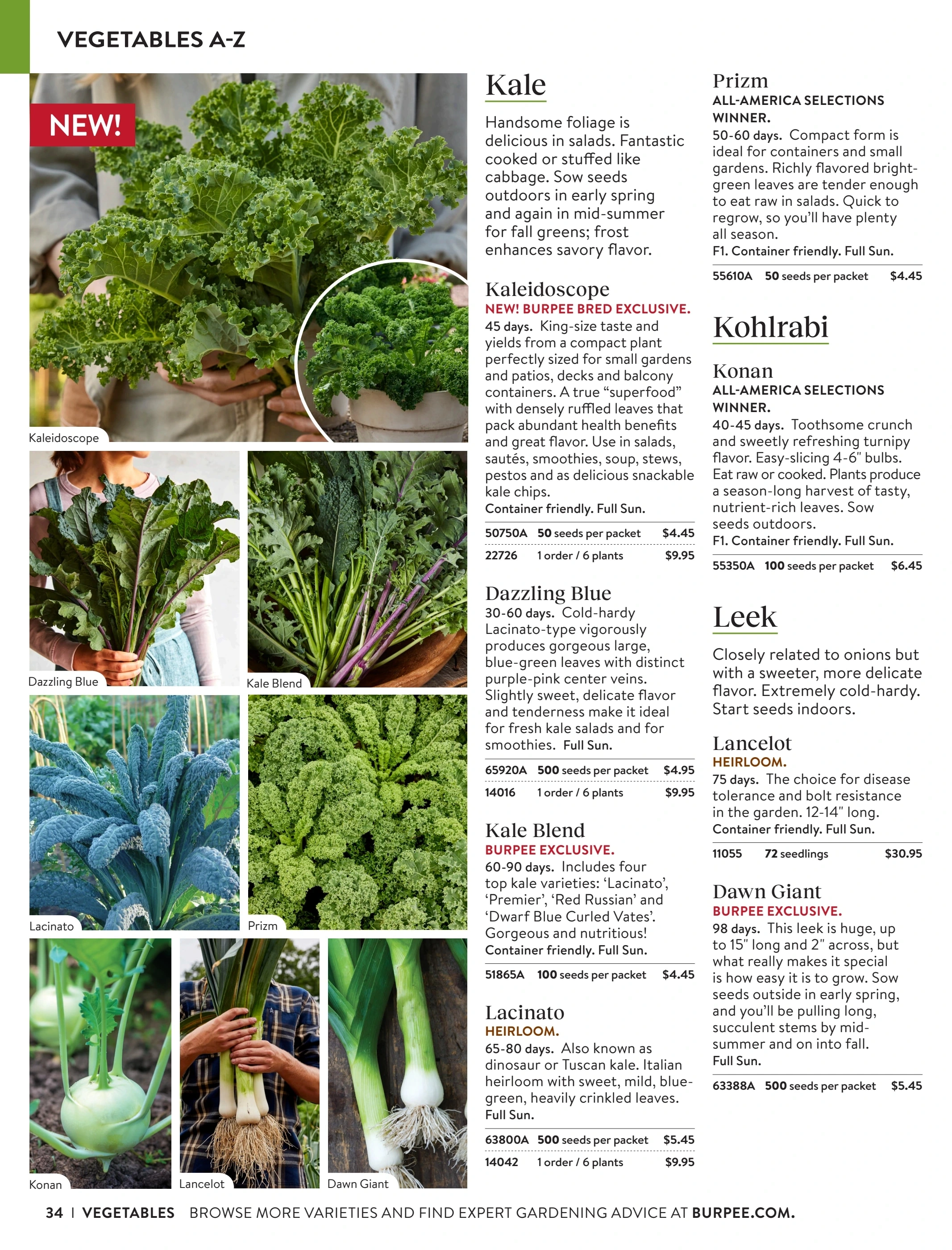 Burpee flyer page 34