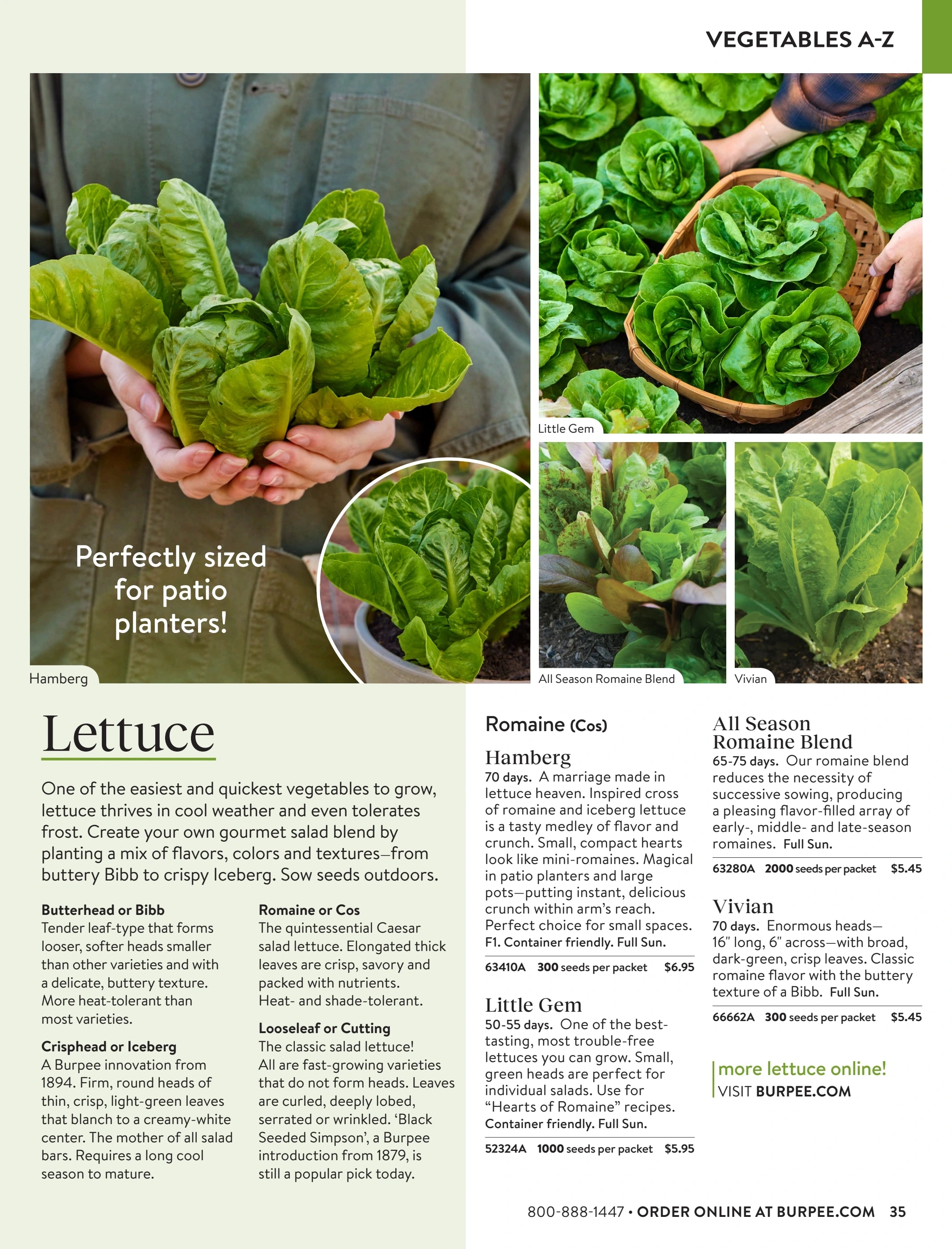 Burpee flyer page 35