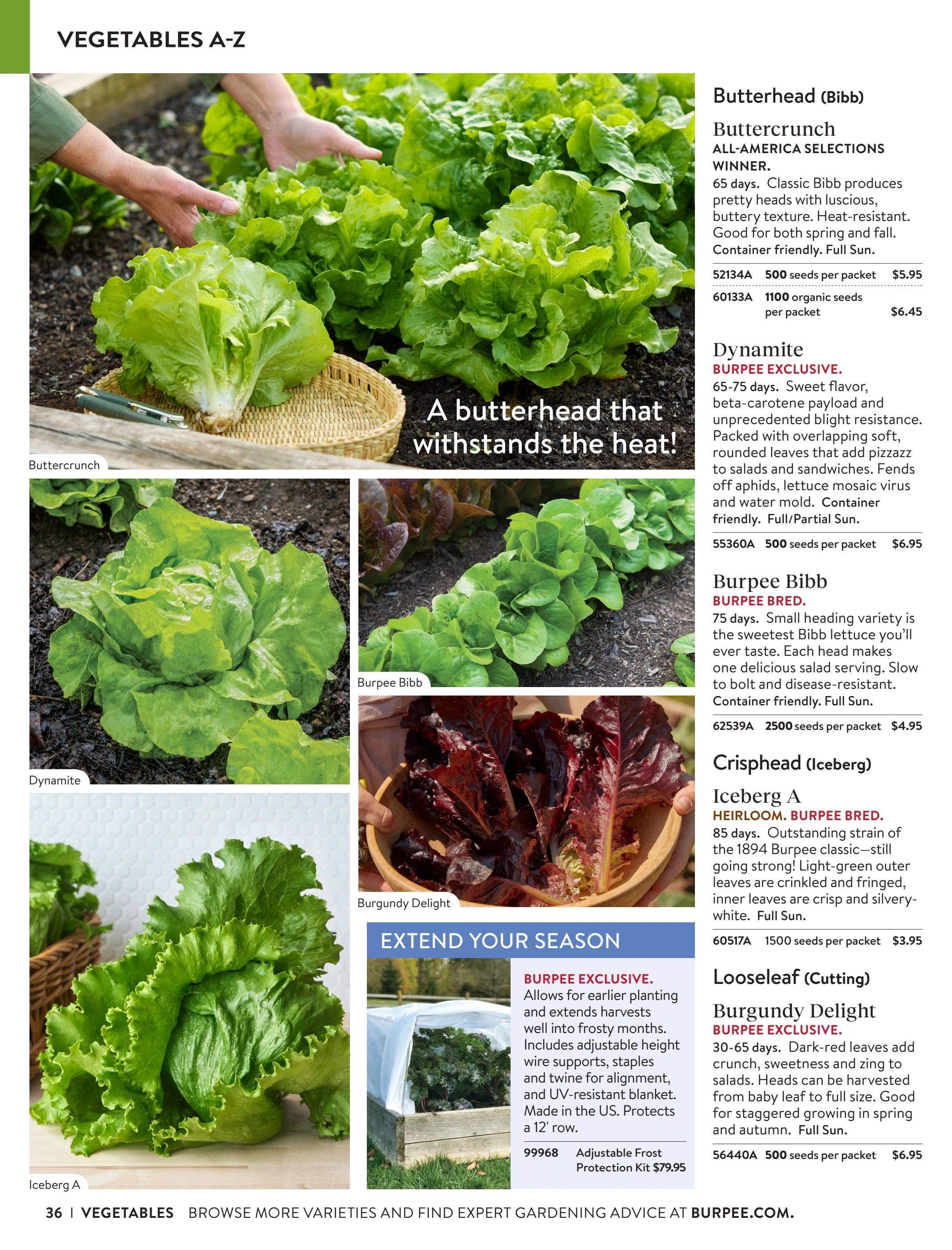 Burpee flyer page 36