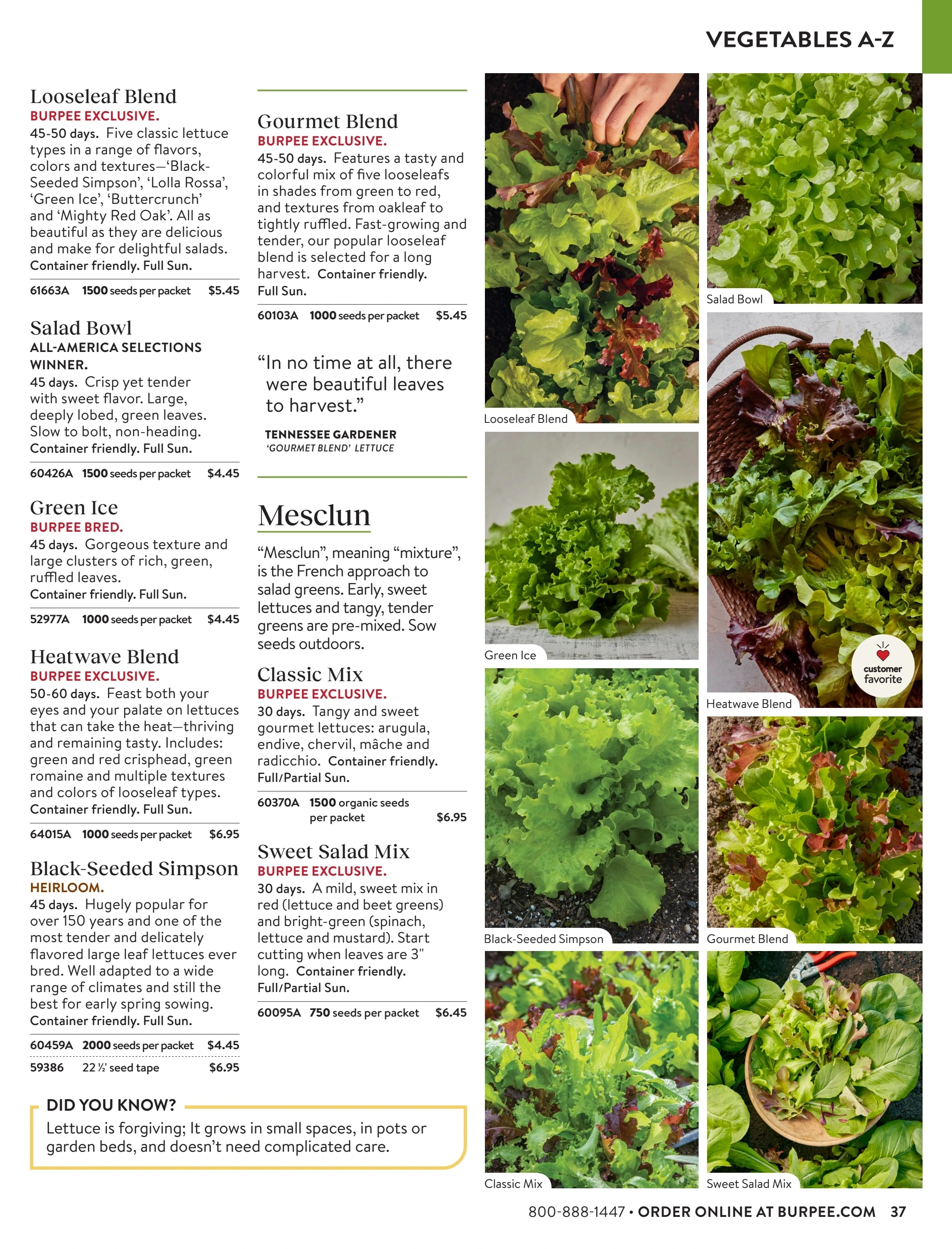 Burpee flyer page 37