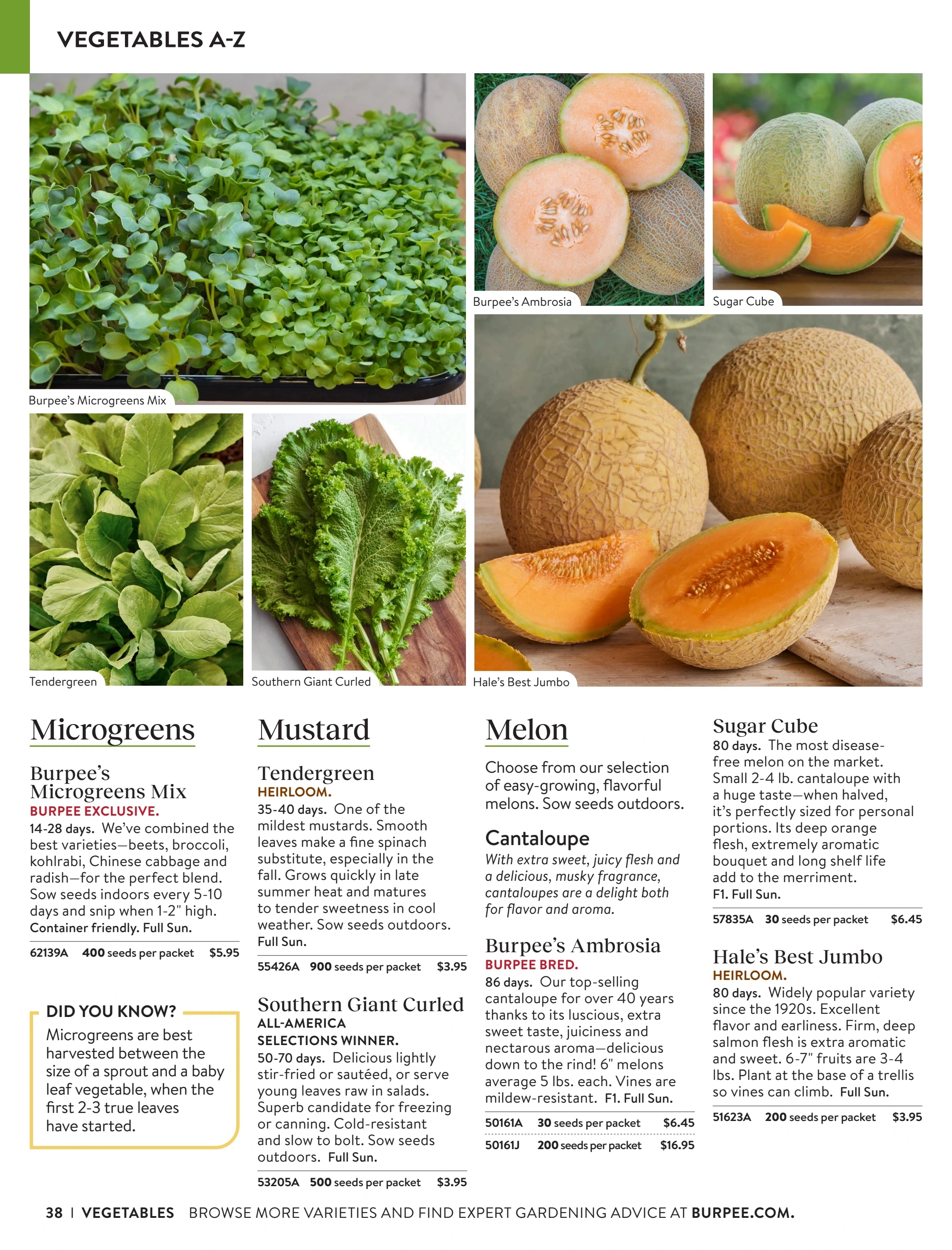 Burpee flyer page 38