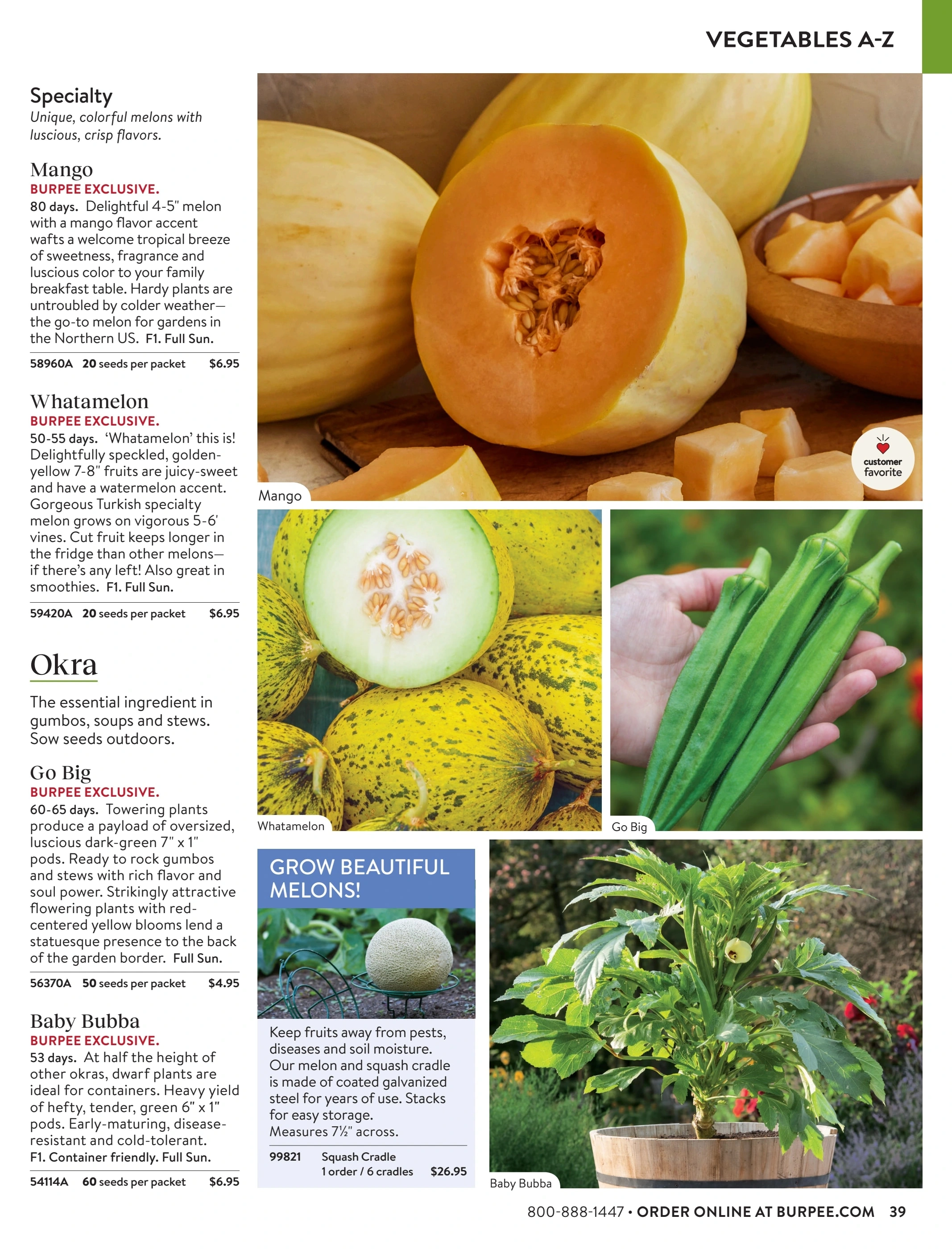 Burpee flyer page 39