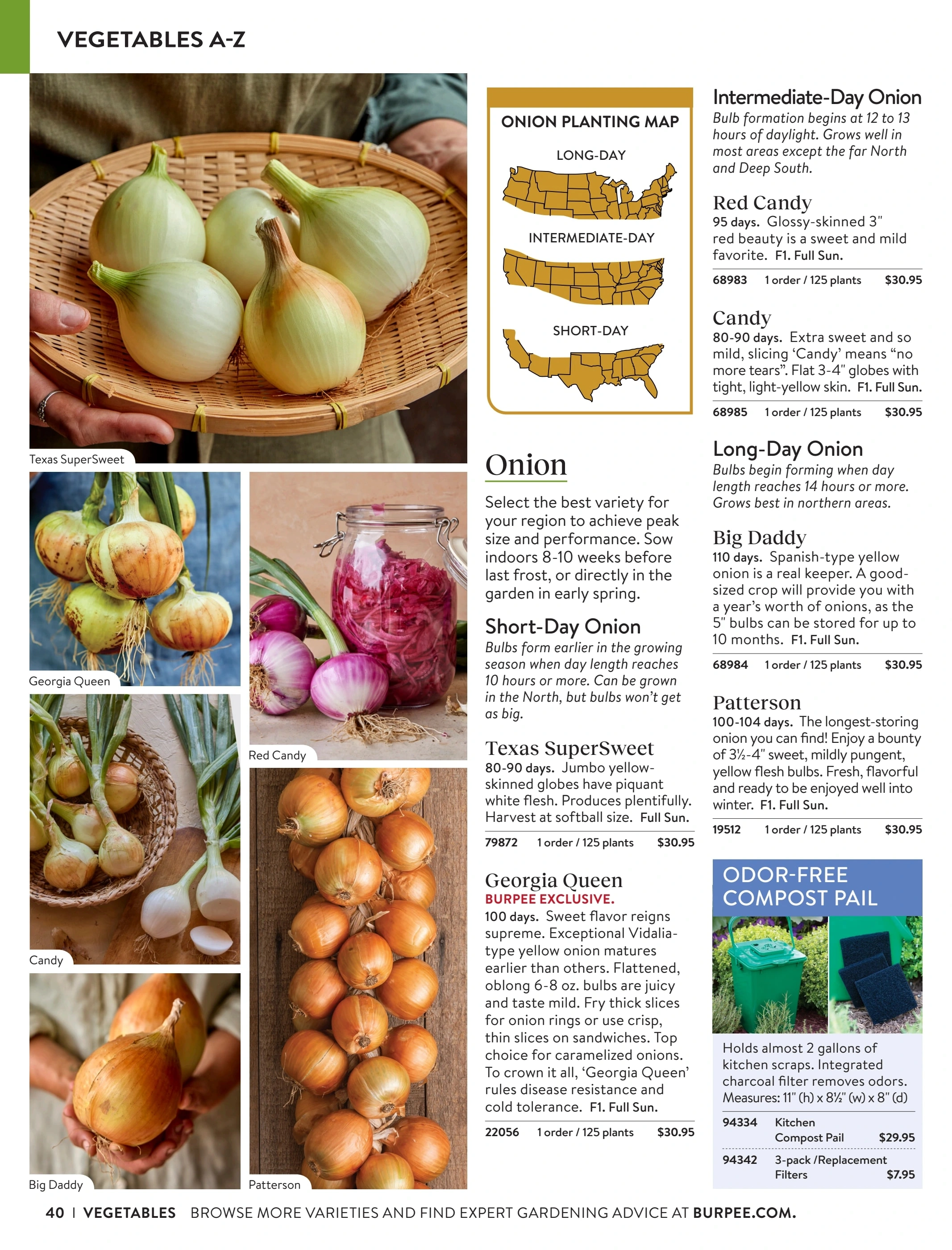 Burpee flyer page 40