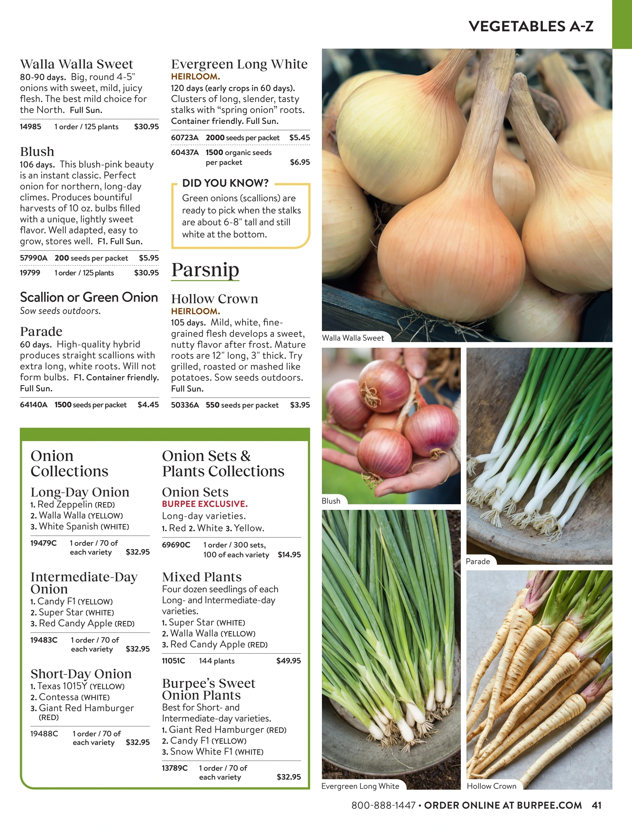 Burpee flyer page 41