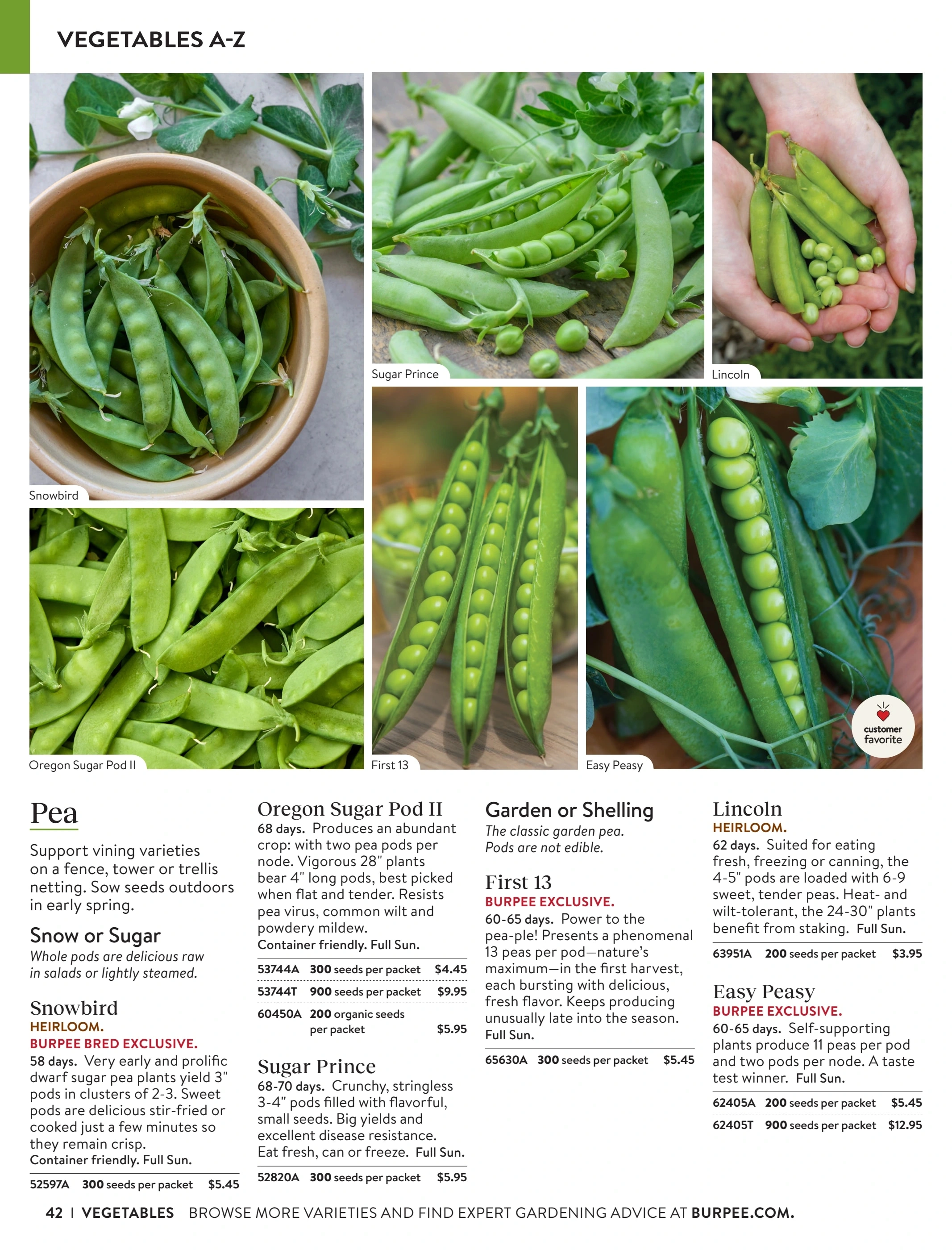 Burpee flyer page 42