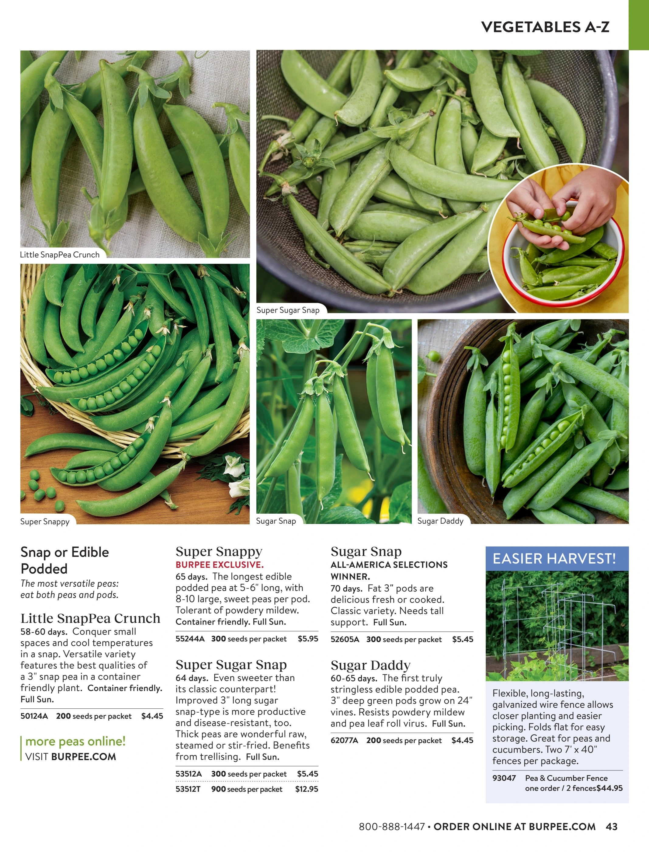 Burpee flyer page 43