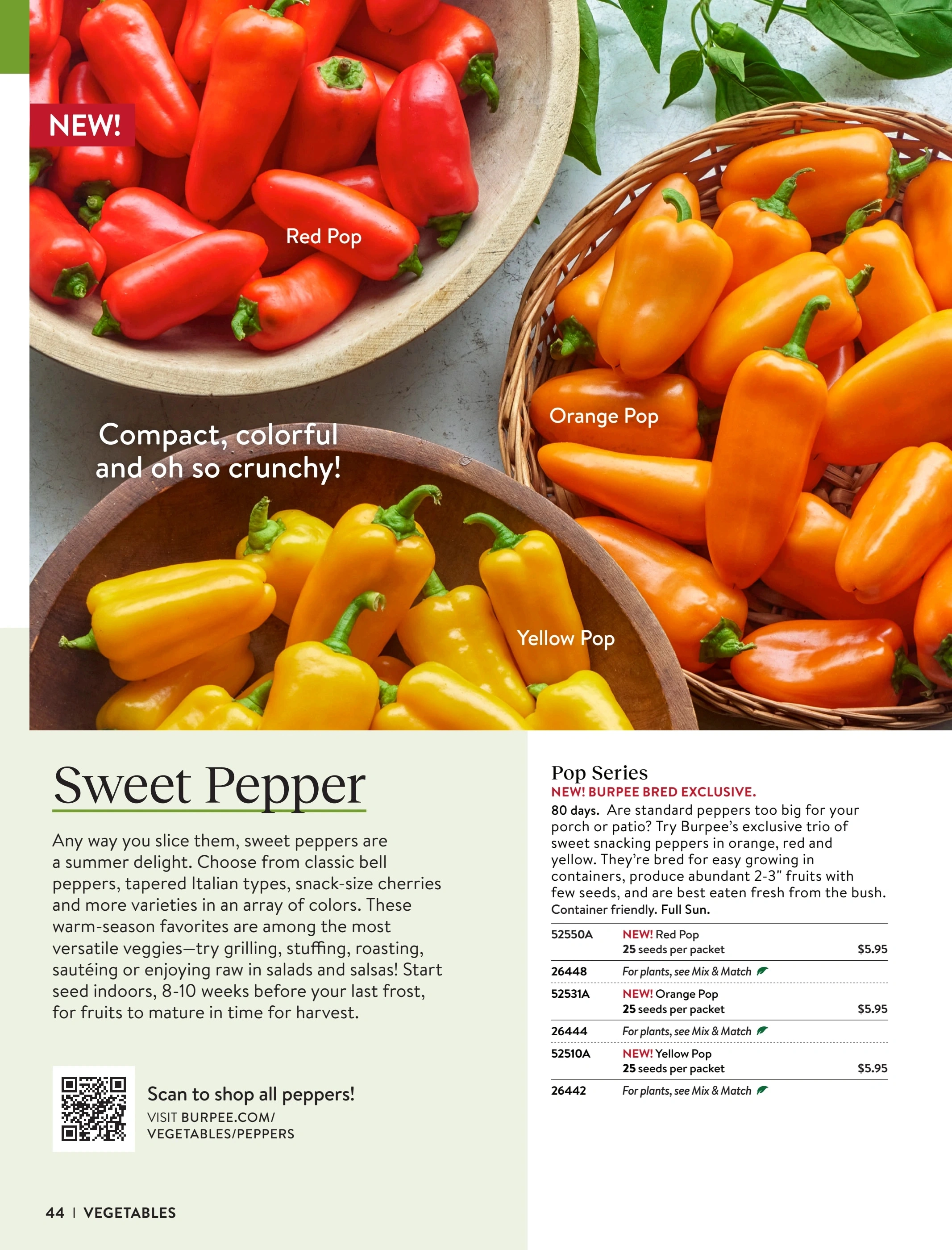 Burpee flyer page 44