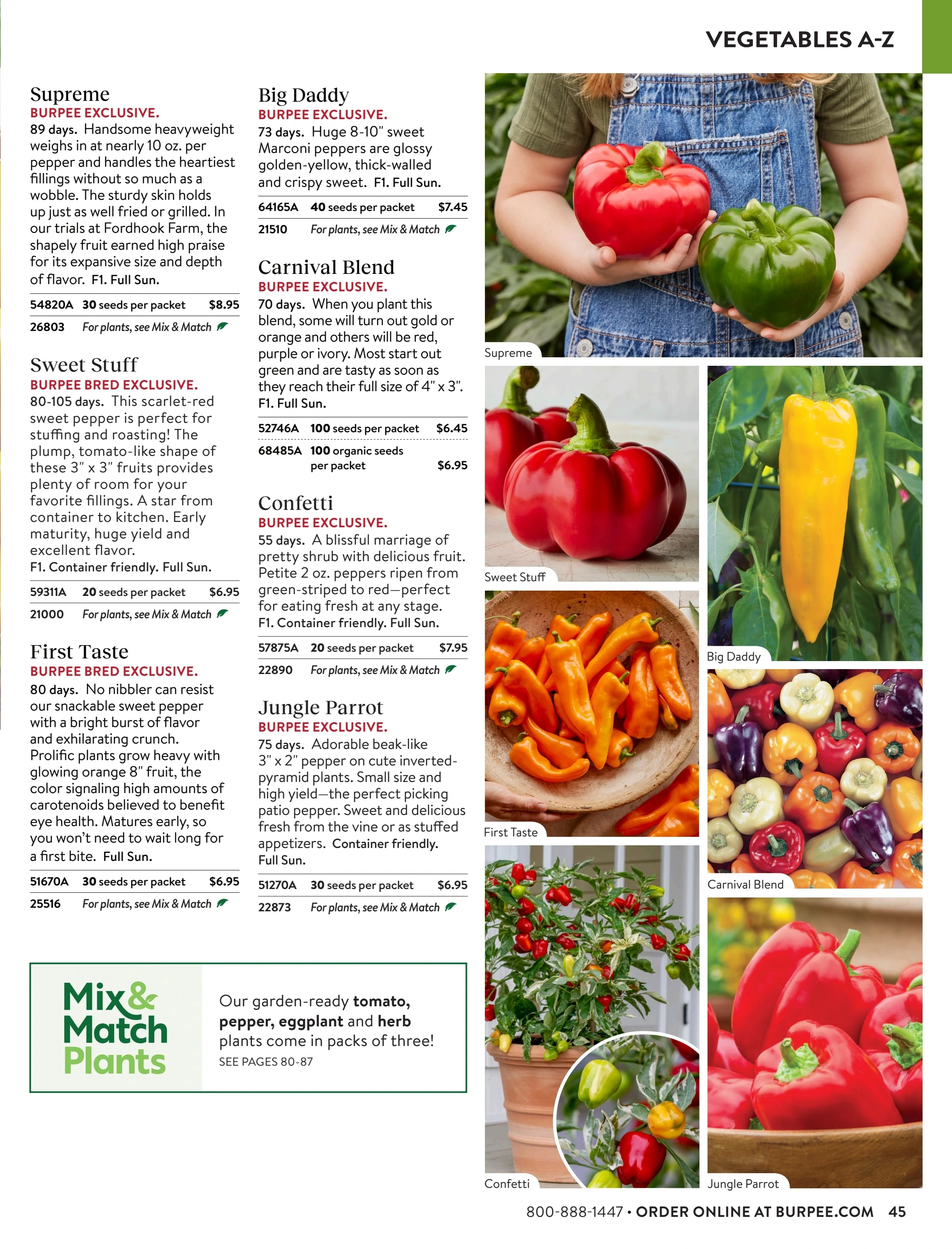 Burpee flyer page 45