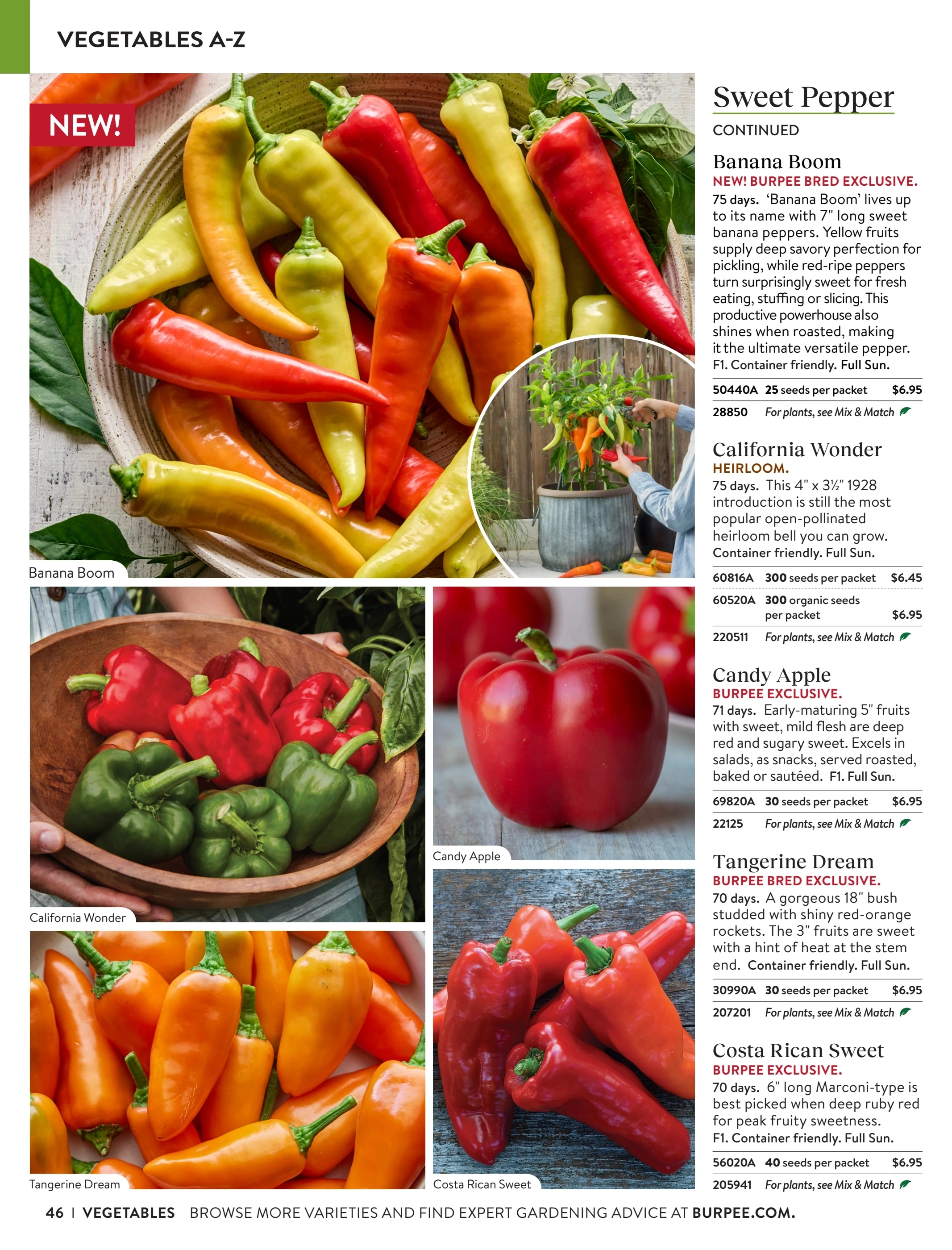 Burpee flyer page 46