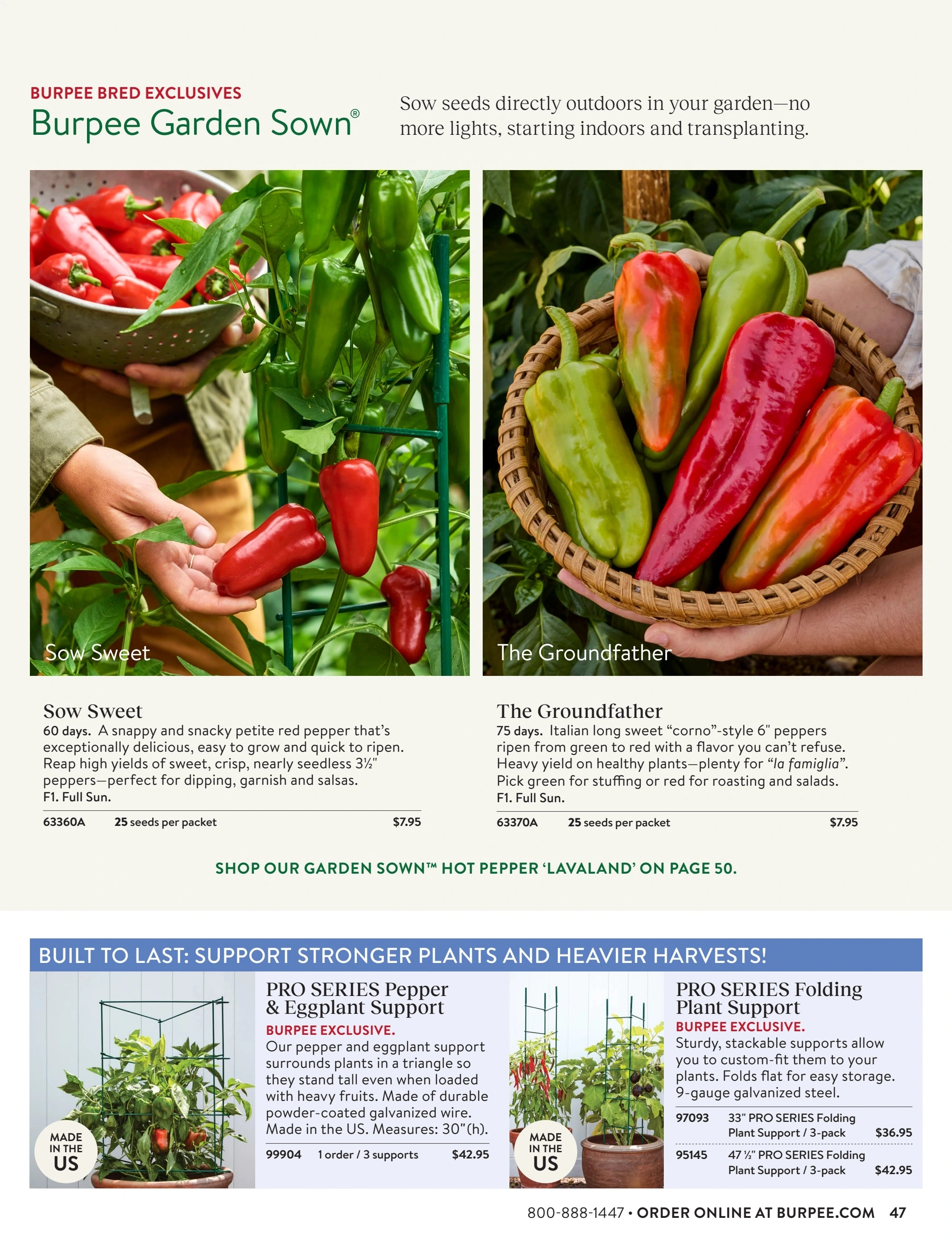Burpee flyer page 47