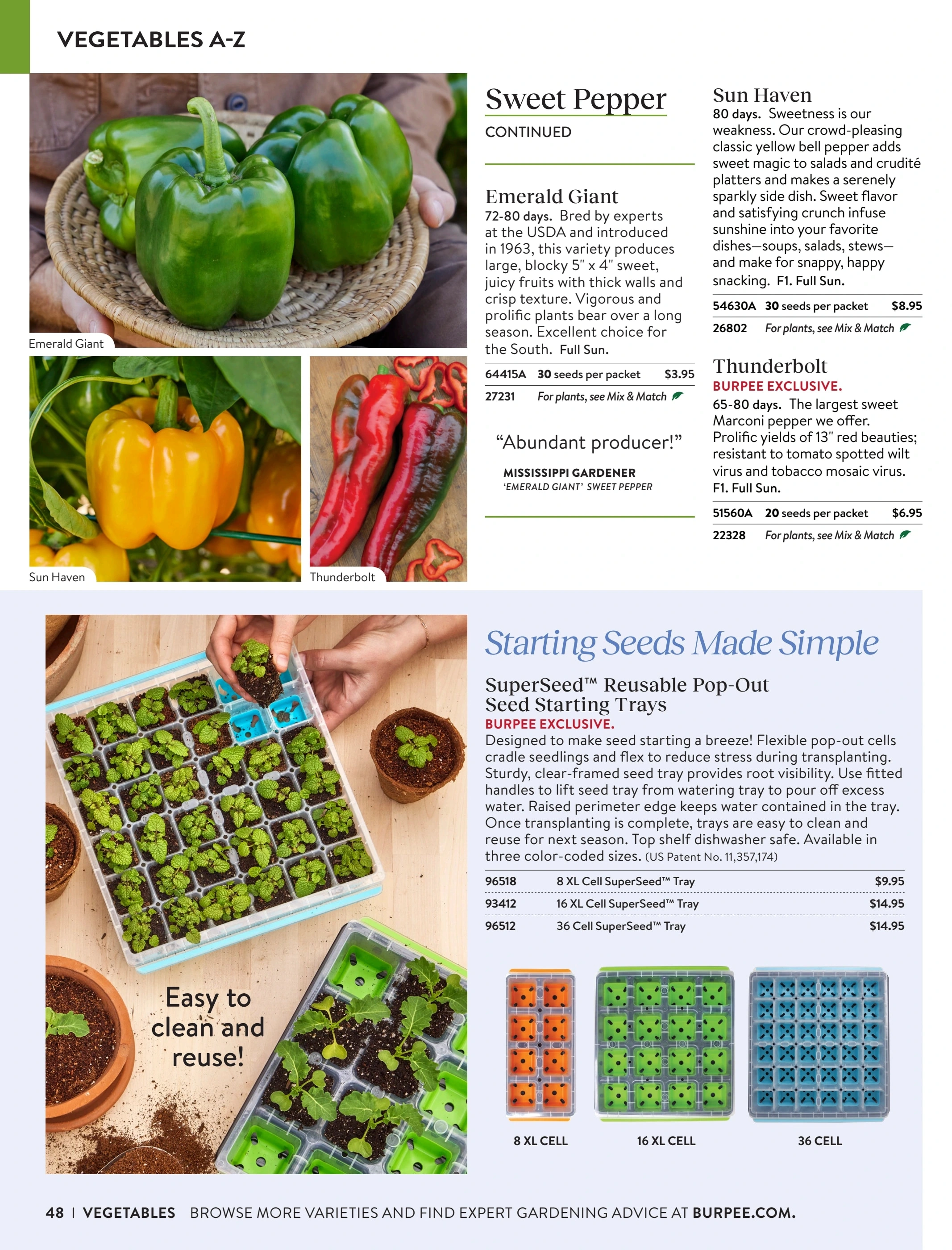 Burpee flyer page 48