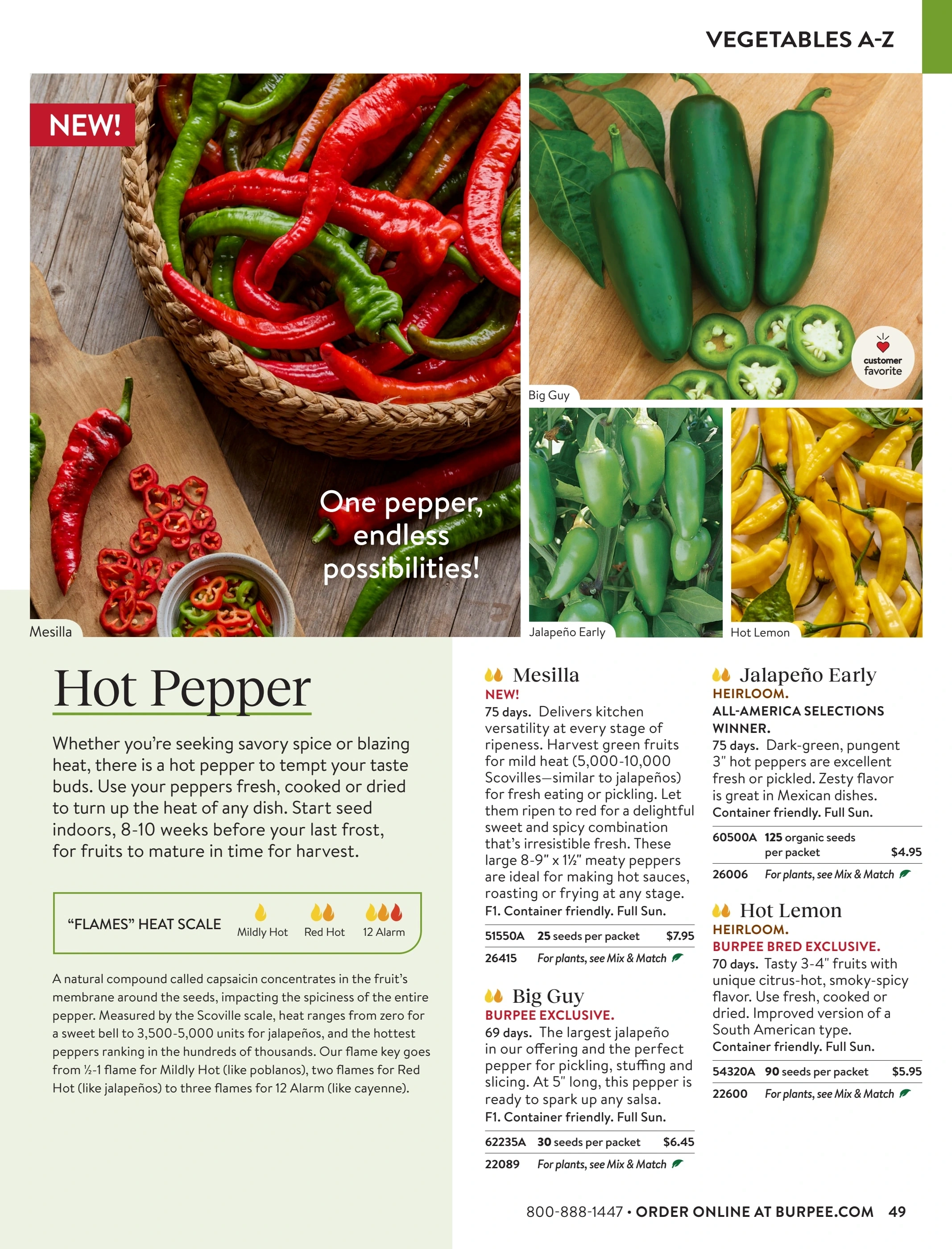 Burpee flyer page 49