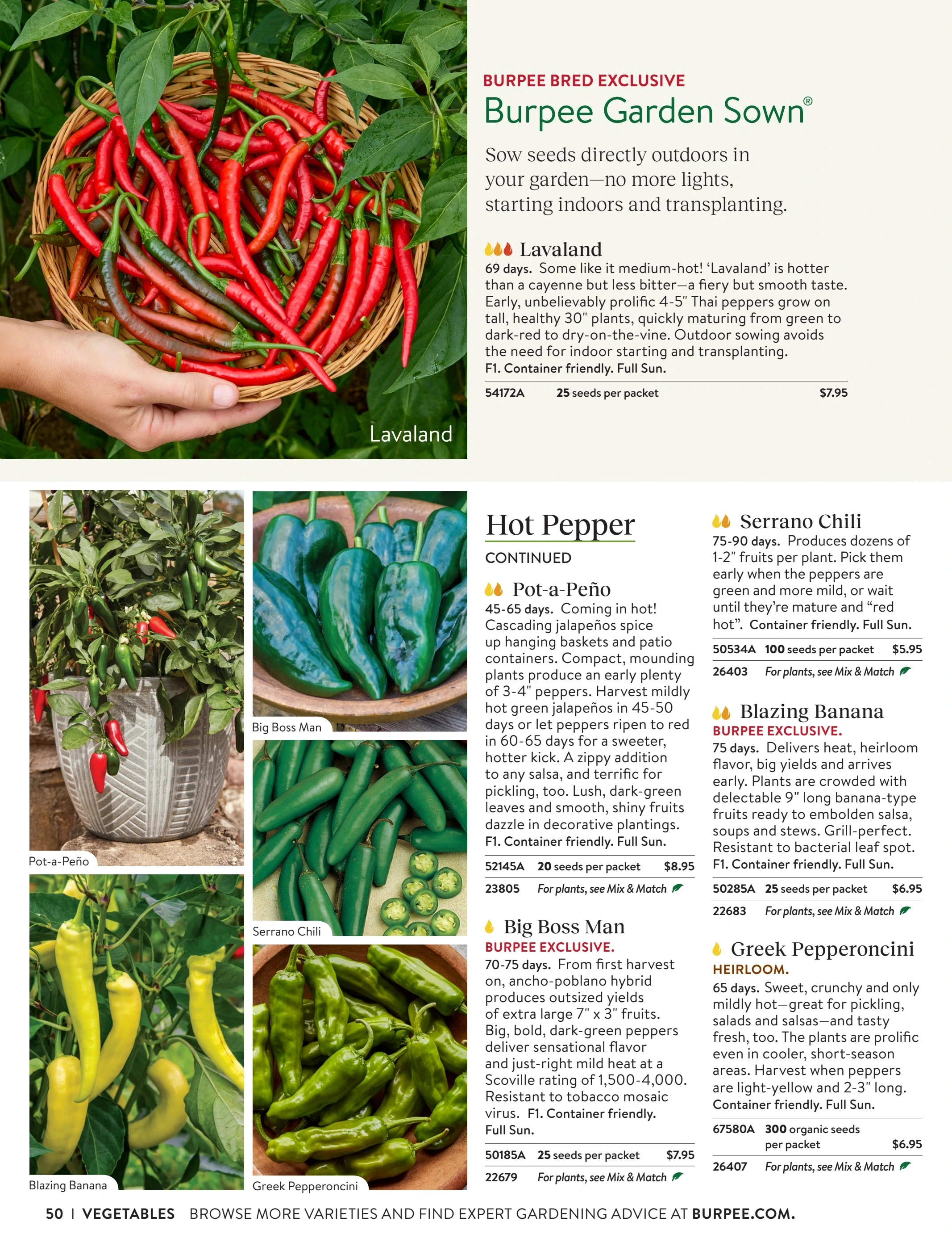 Burpee flyer page 50