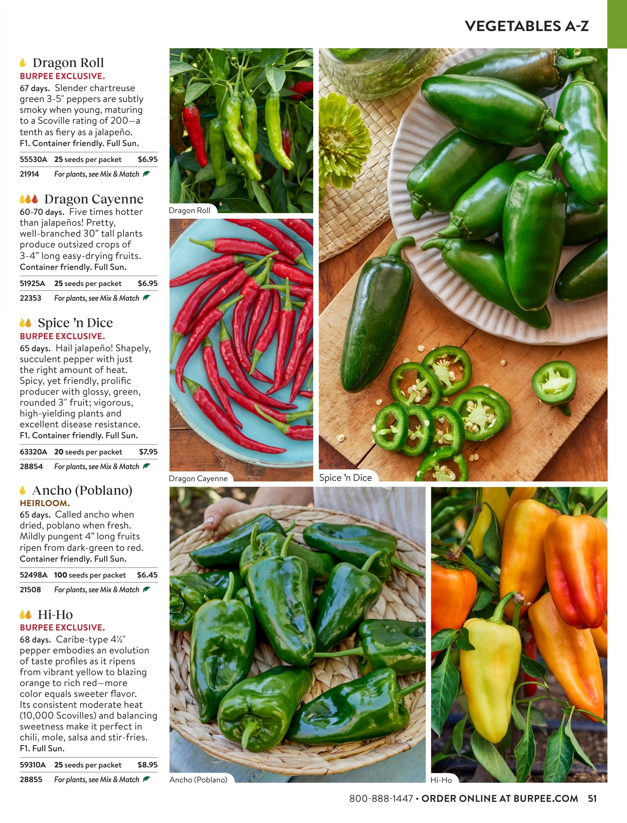 Burpee flyer page 51