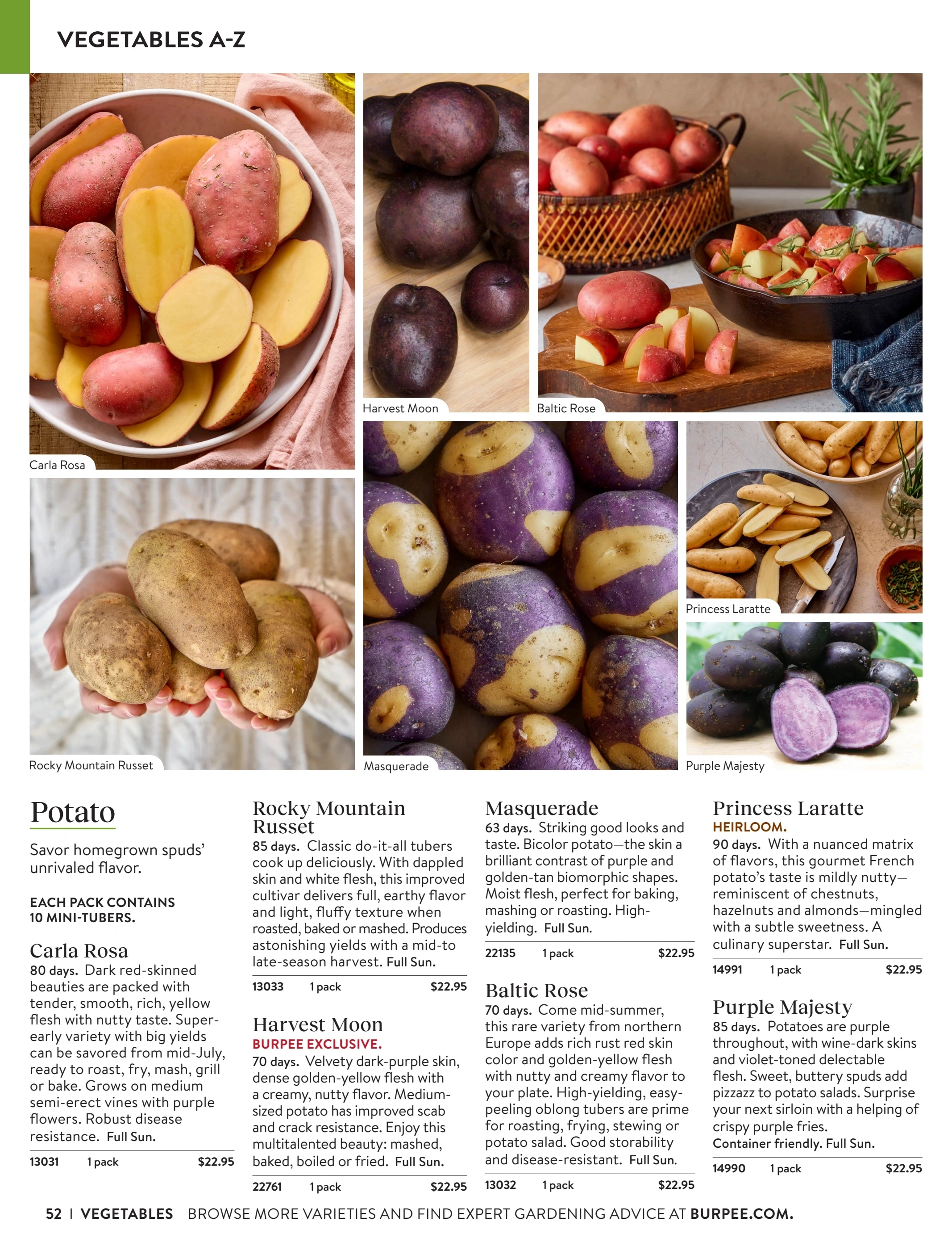 Burpee flyer page 52
