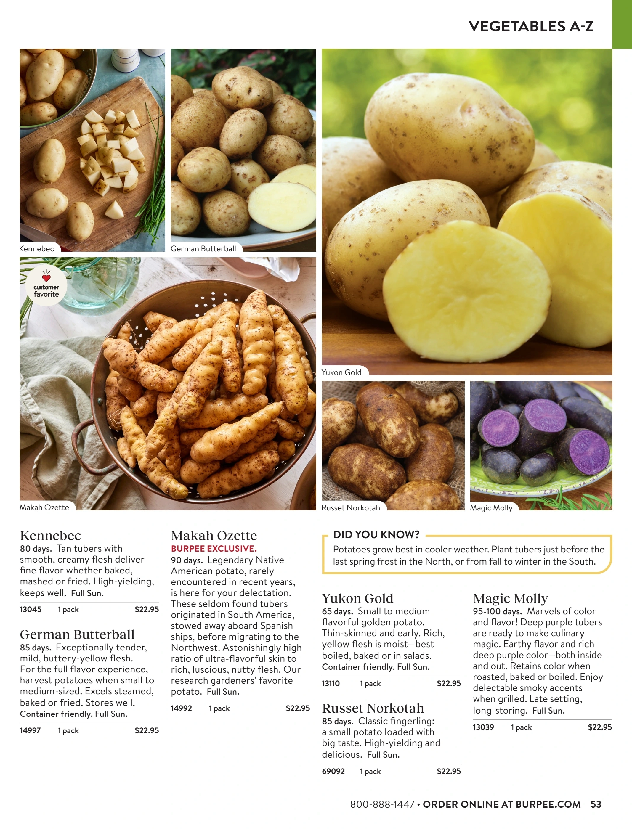 Burpee flyer page 53