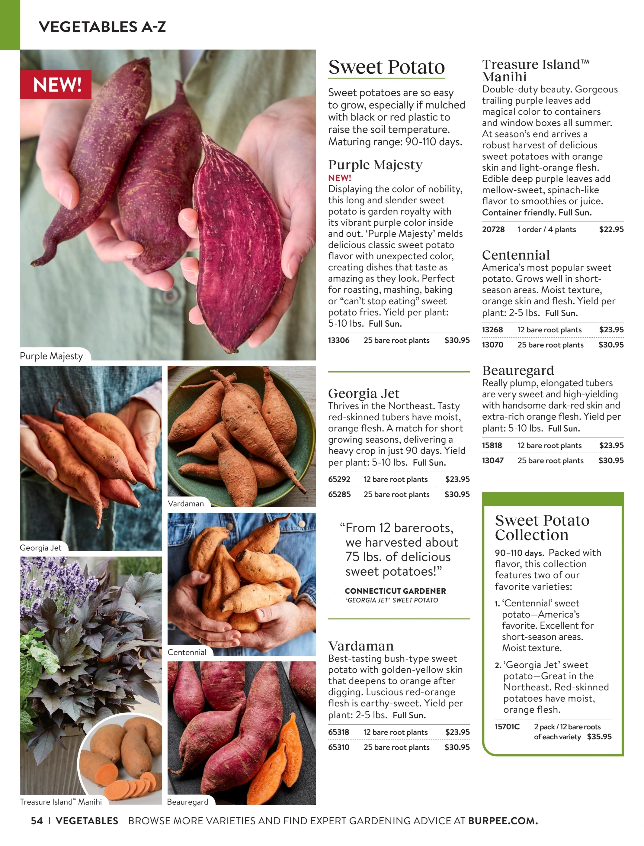 Burpee flyer page 54