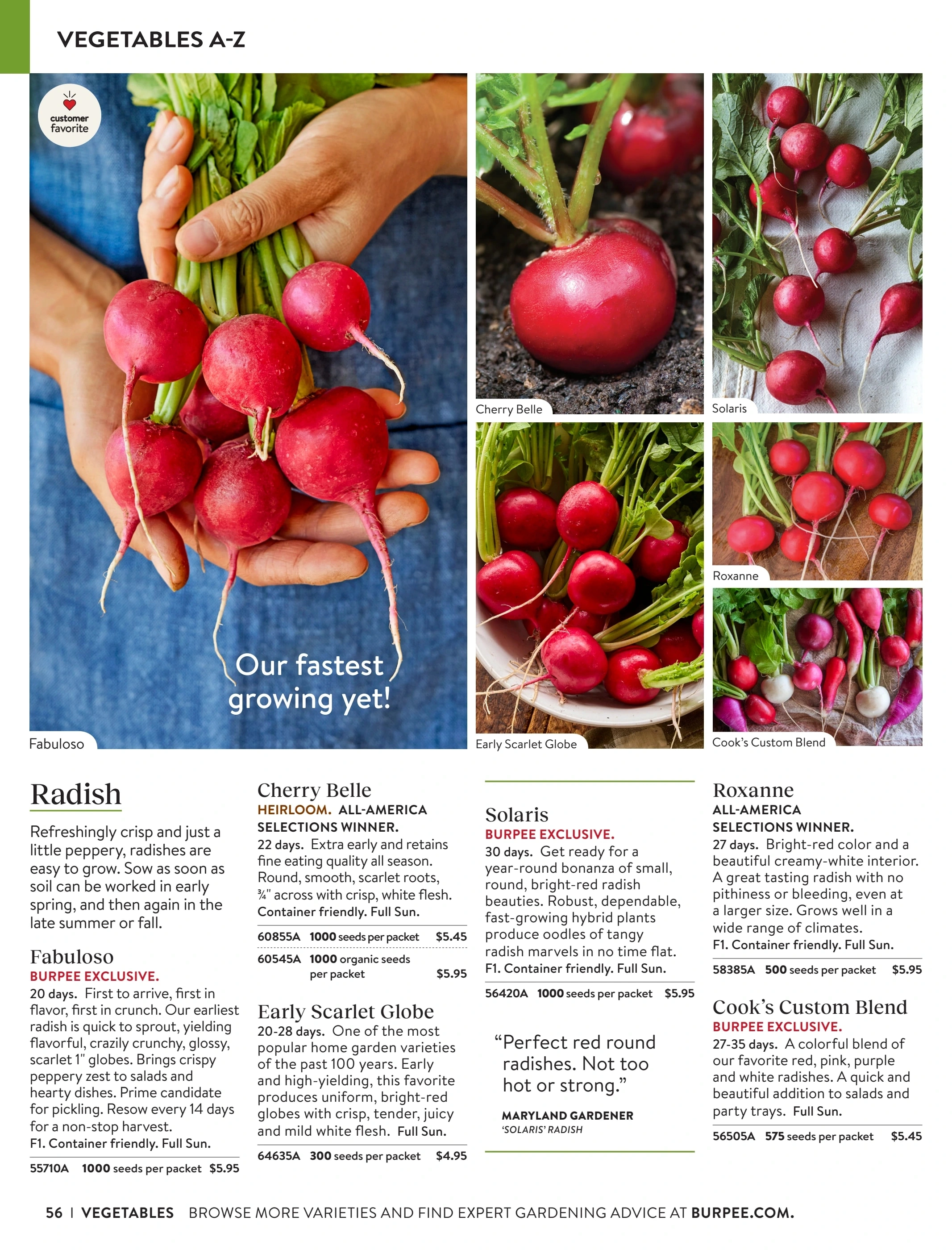 Burpee flyer page 56