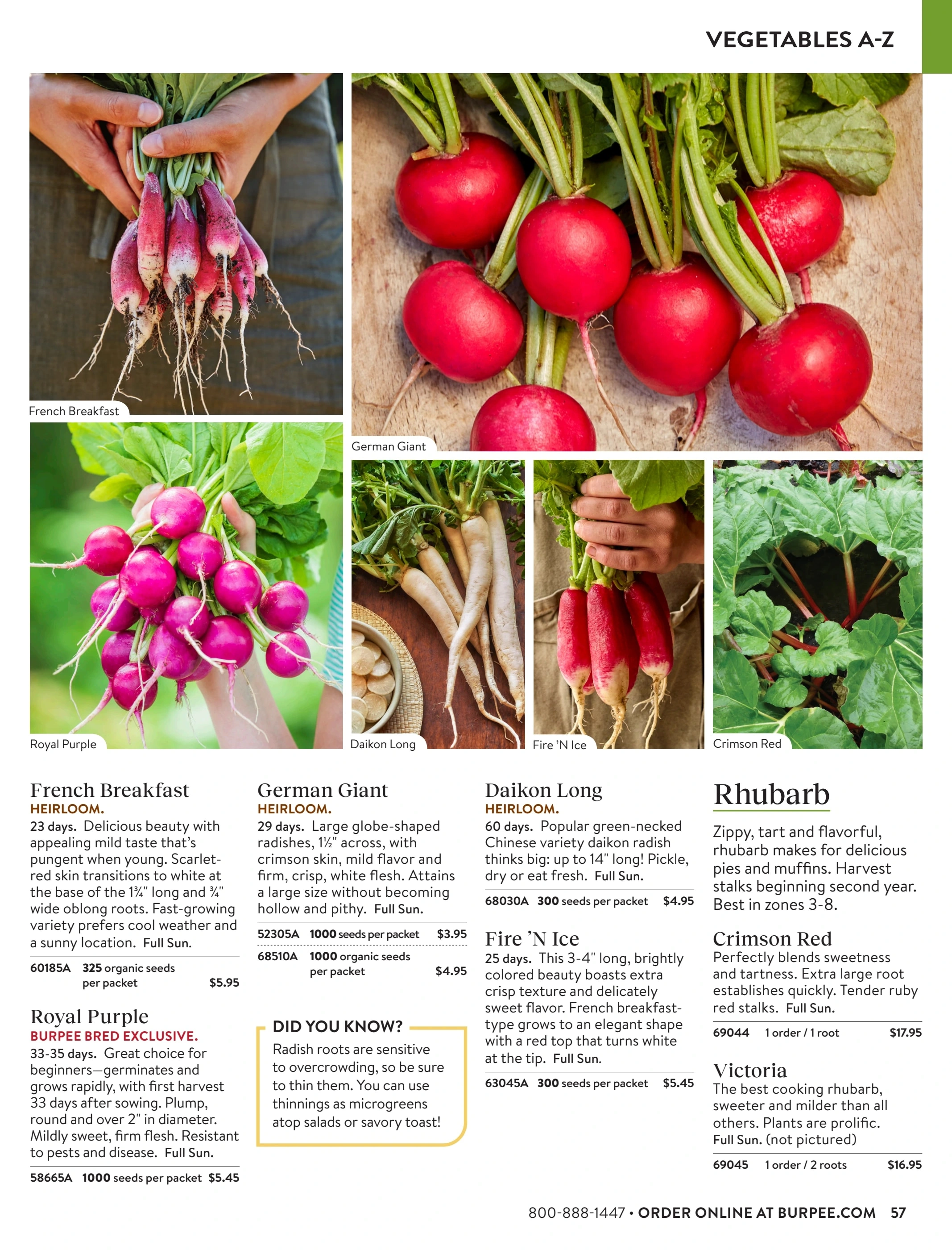 Burpee flyer page 57