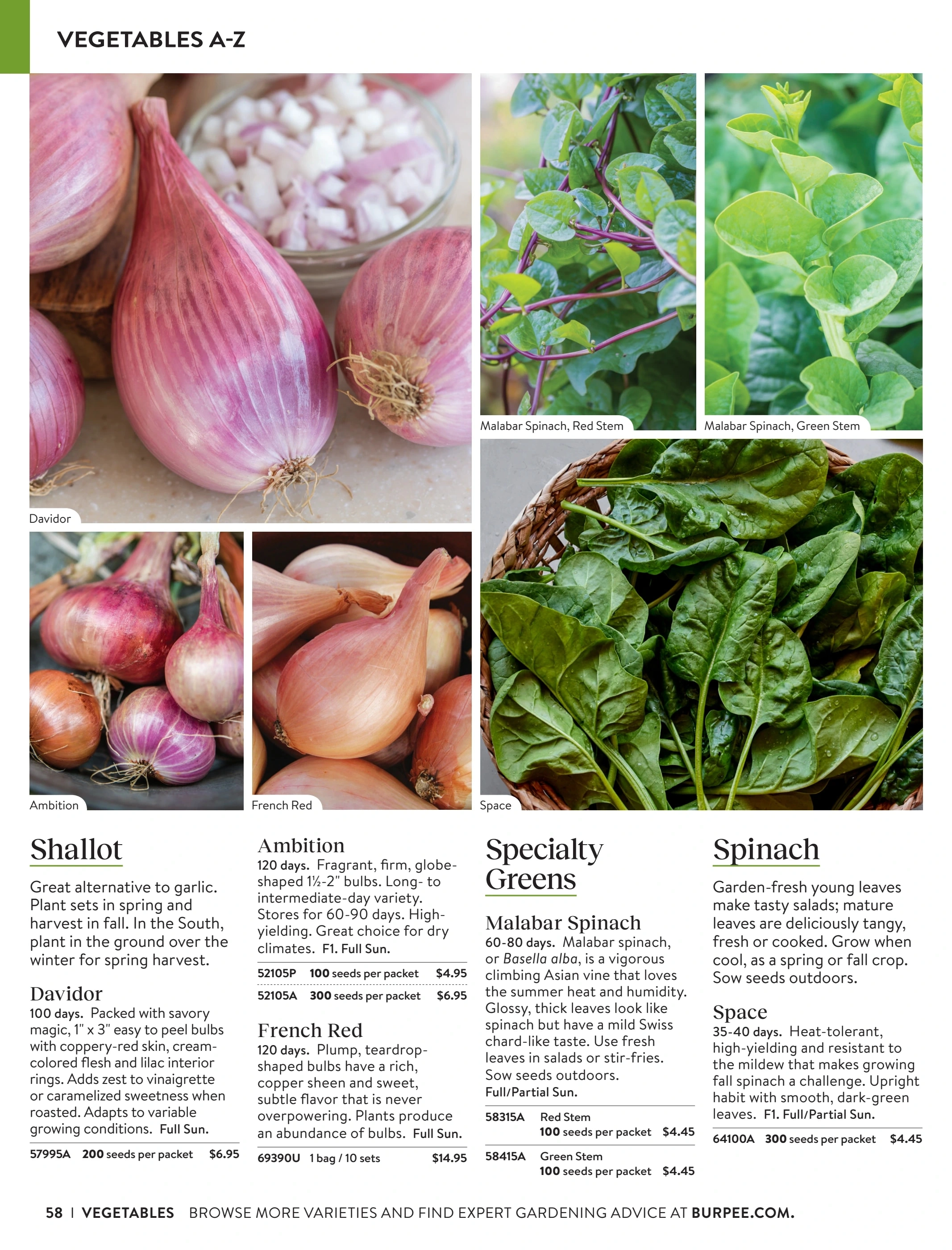 Burpee flyer page 58